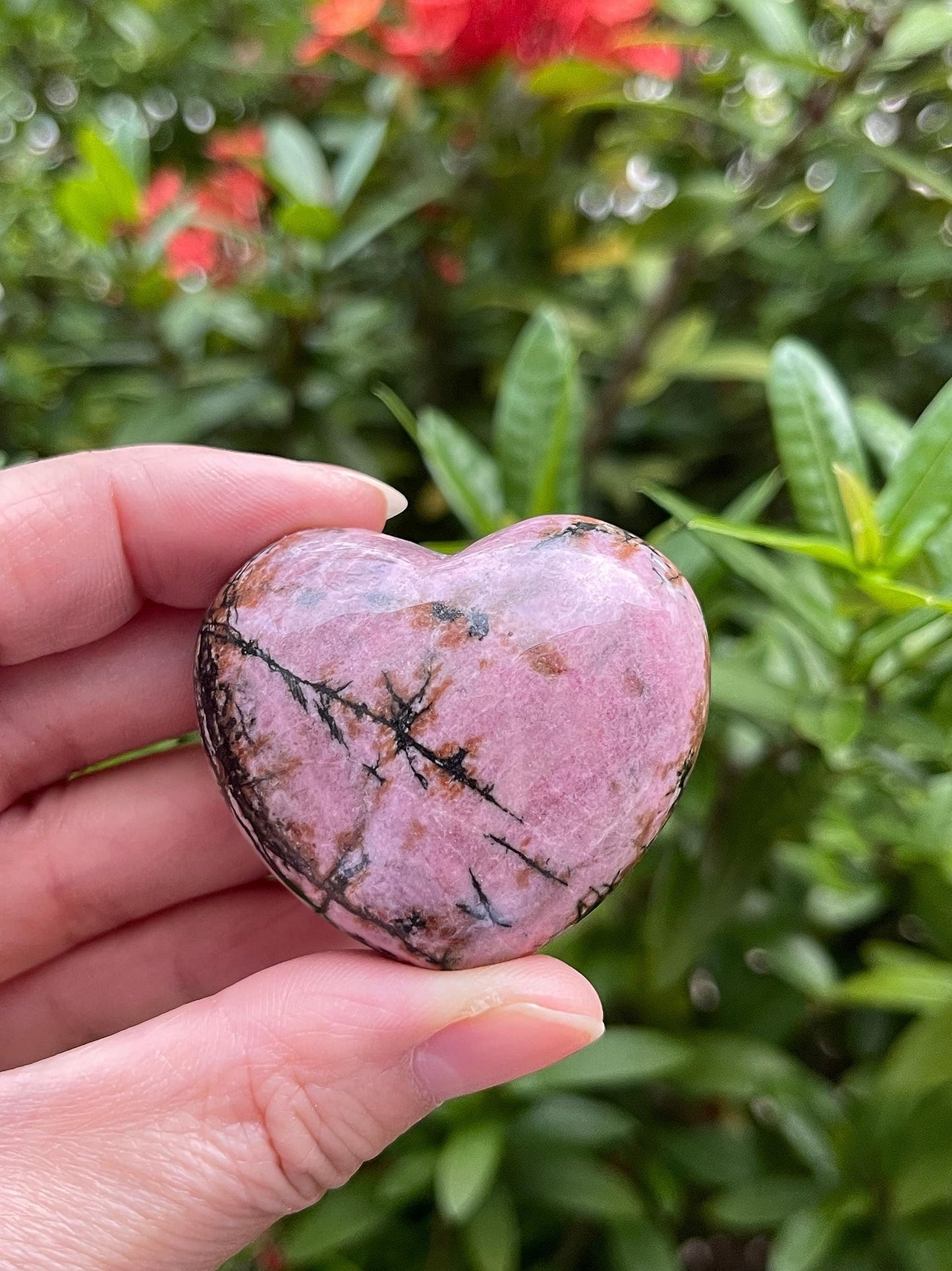 GAF TREASURES Rhodonite Gemstone Hearts, Polished Rhodonite Puffy Hearts, Rhodonite Crystal Palm Stone, Rhodonite Healing Crystal Hearts (1 Heart)