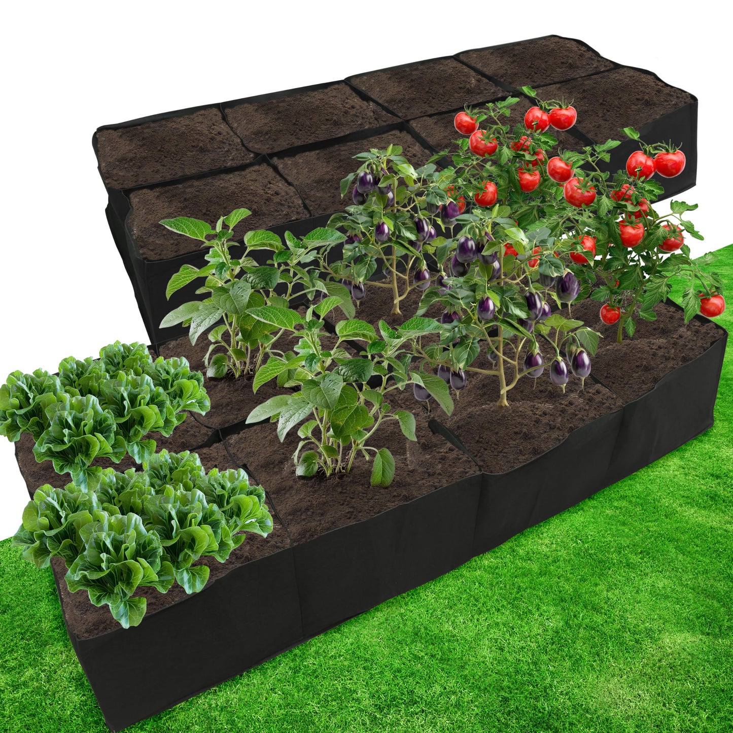 Gardzen 2 Pack Fabric Raised Garden Beds, 2x4x1 FT - 8 Grids Grow Bed for Square Foot Gardening, Planting Box for Vegetables, Herbs, Flowers