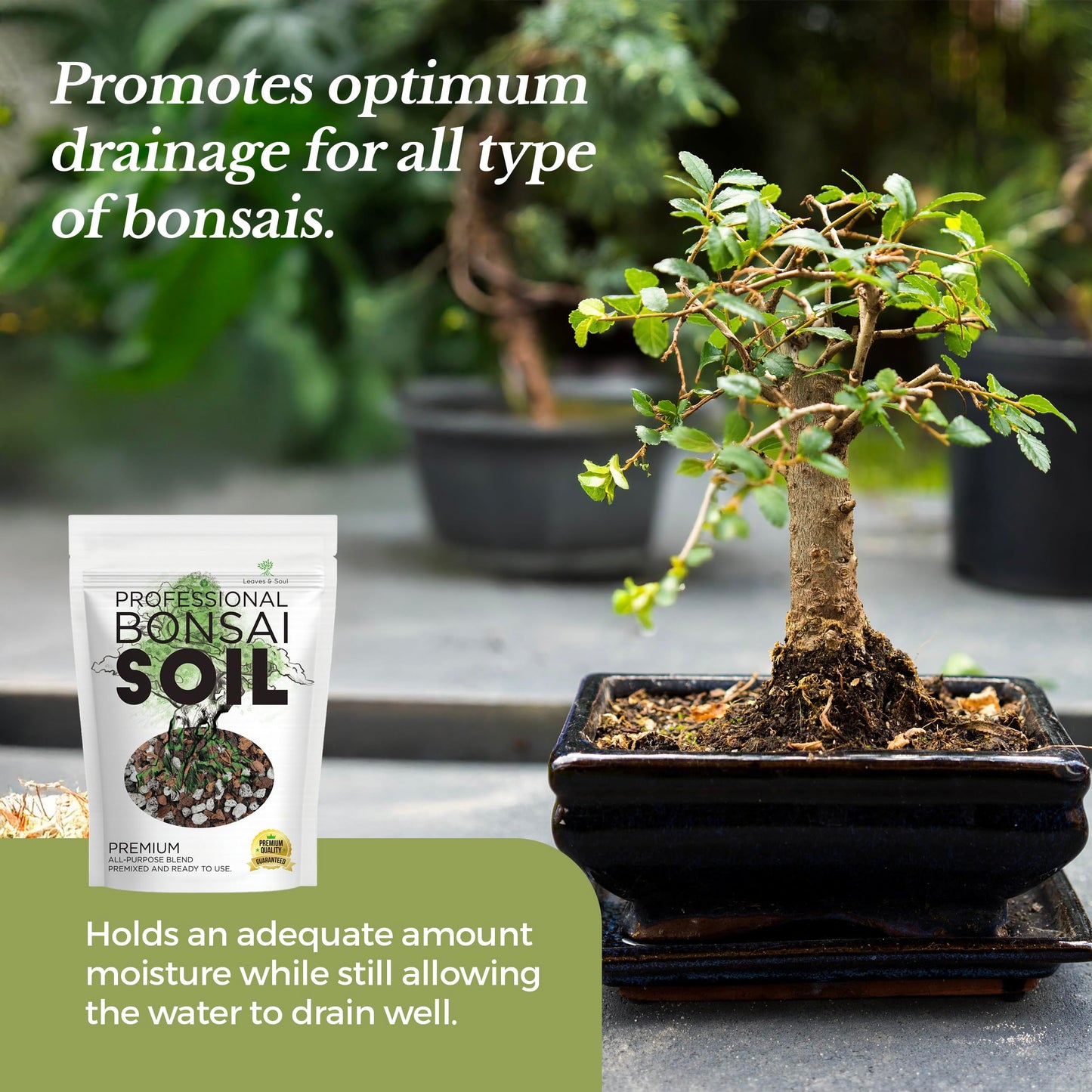 Professional Bonsai Soil Mix Ready to Use | Large 2.2 Quarts, Premium Potting Soil for Bonsai Trees, Fast Draining Blend Lava Limestone Pearock Calcined Clay Pinebark Indoor Outdoor | Made in USA