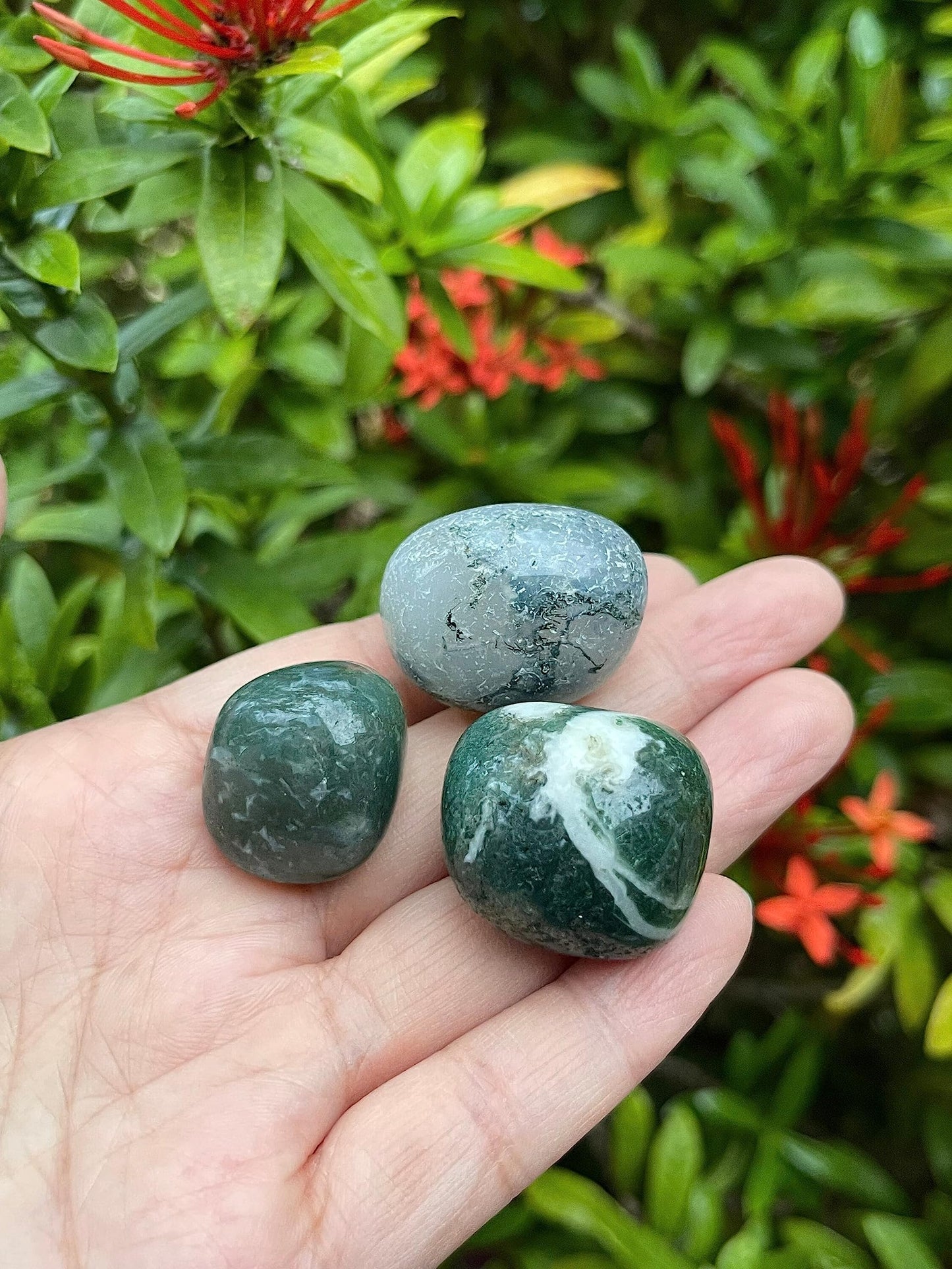 GAF TREASURES 5 Pcs Moss Agate Tumbled Stones, Polished Natural Moss Agate Gemstone, Moss Agate Healing Crystals (Moss Agate)