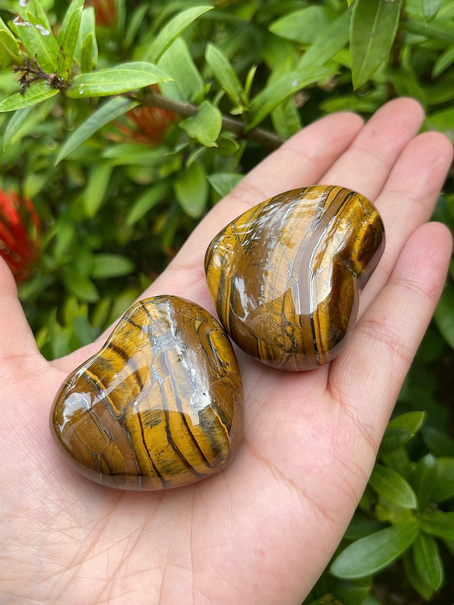 Tiger Eye Gemstone Hearts, Polished Tiger Eye Puffy Hearts, Tiger Eye Crystal Palm Stone, Tiger Eye Healing Crystal Hearts (1 Heart)