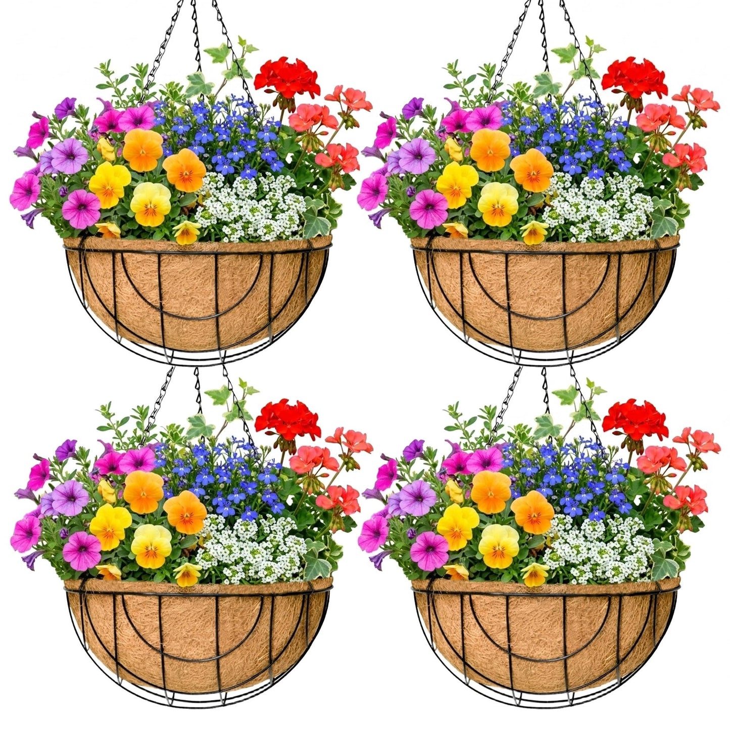 EIMQUVW Outdoor Metal Hanging Planters Basket (4pack, 14 inch) Hanging Baskets for Plants Chain Round Wire Plant Holder with Coco Fiber Liners for Garden, Patio, Deck, Porch(Grid)