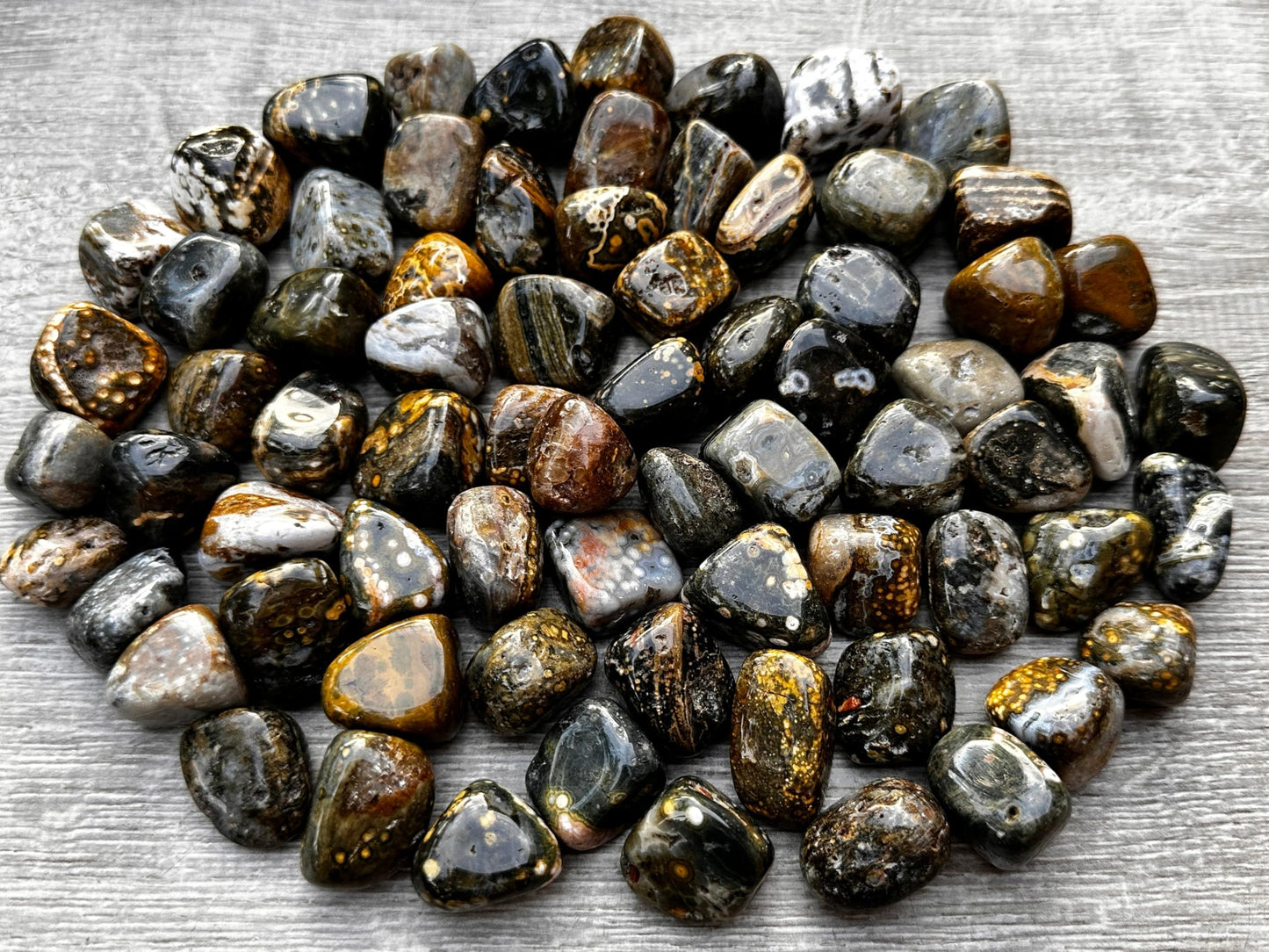 GAF TREASURES 5 Pcs Ocean Jasper Tumbled Stones, Polished Natural Sea Jasper Gemstone, Ocean Jasper Healing Crystals (Ocean Jasper)