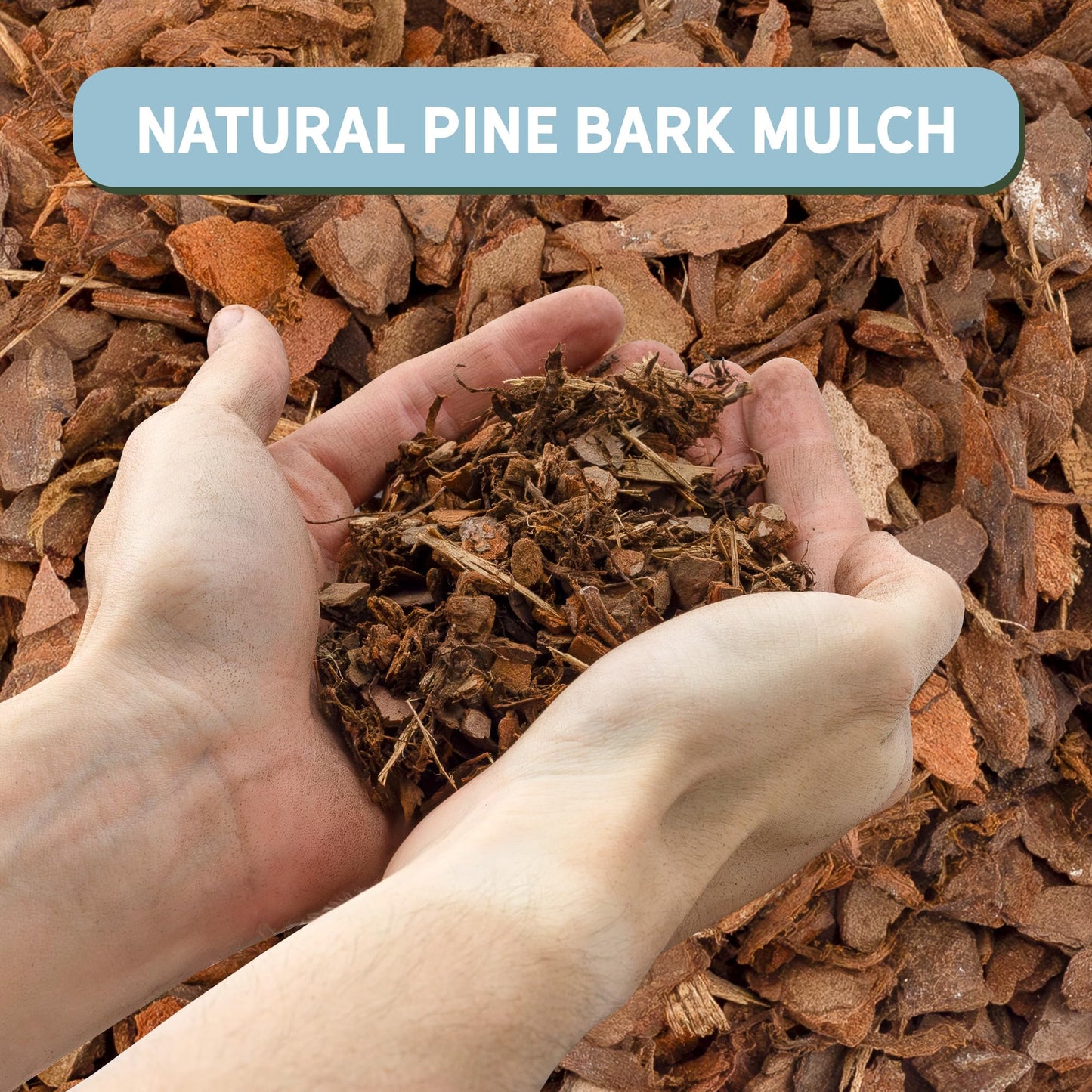100% Natural Pine Bark Mulch Nuggets (8 Quarts), Small Mulch Chips for Indoor/Outdoor Container Gardening, Ideal for Soil Supplement, Houseplant Mulch