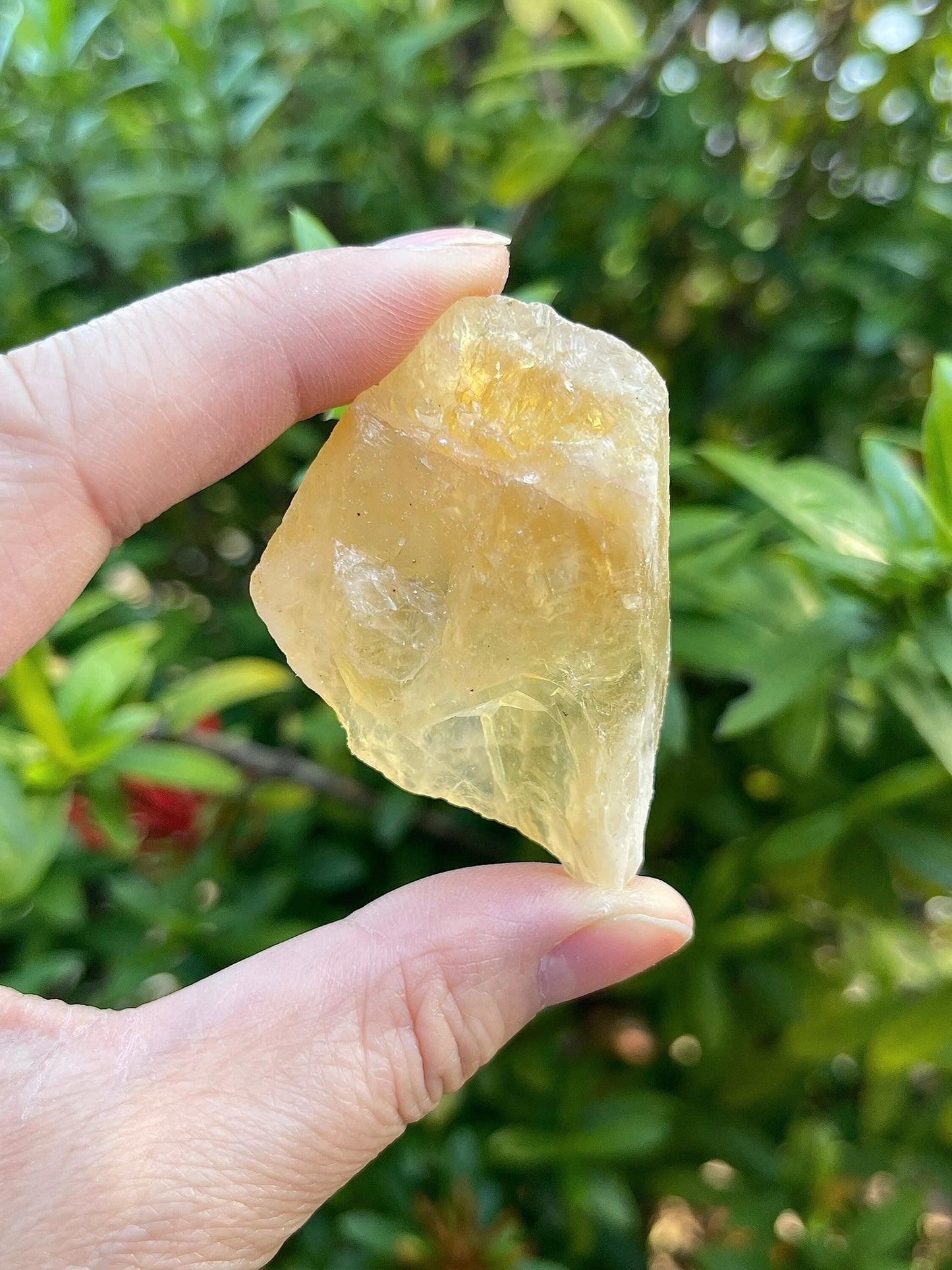 GAF TREASURES Wholesale Raw Citrine Crystals, Natural Citrine Stone, Natural Rough Citrine Crystals, Citrine Rough, Citrine Healing Crystals (Citrine, 0.25 Pound)