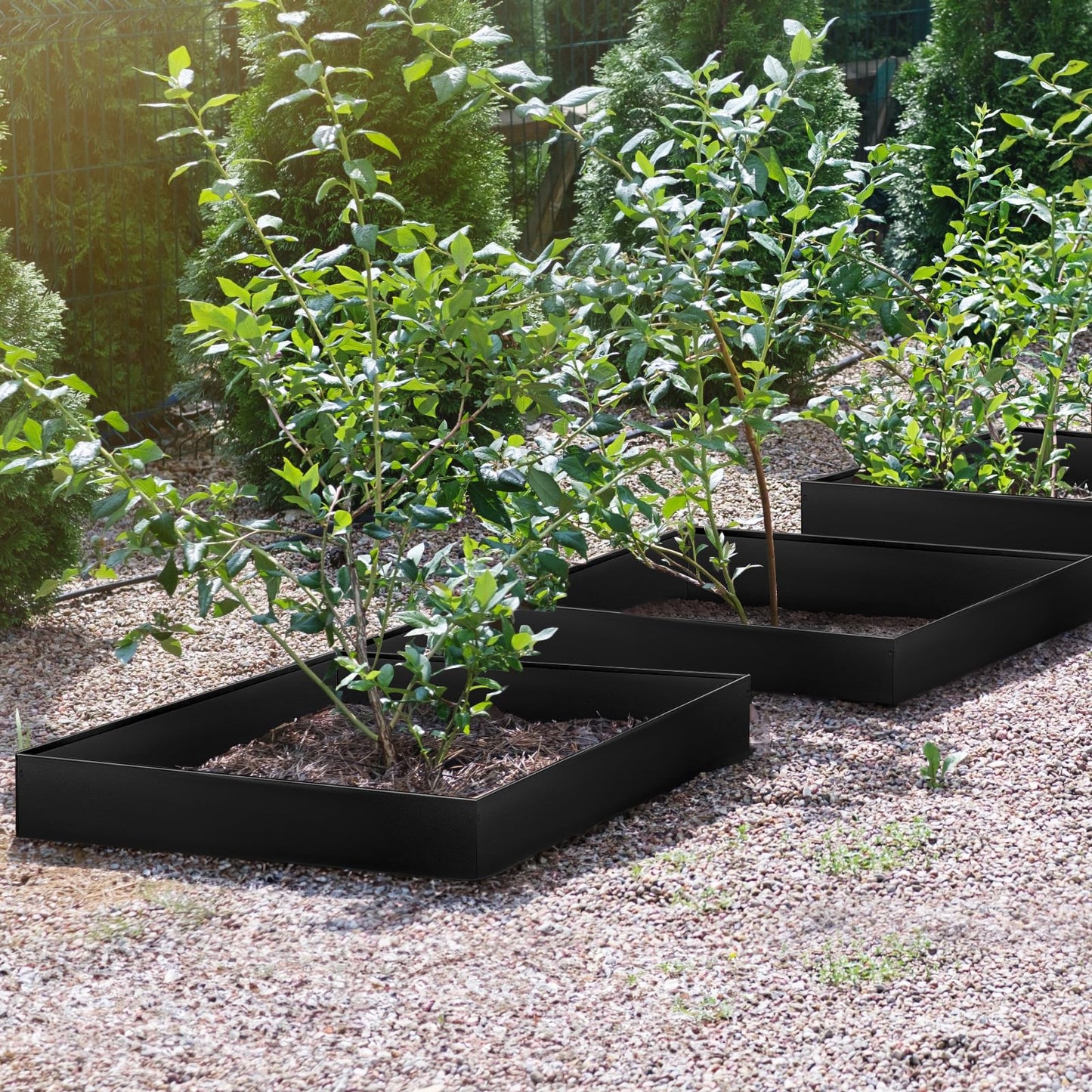 LAVEVE Landscape Edging Galvanized Steel Black, Hammer-in Metal Garden Edging Border with Clips, Suitable for Garden Fence, Paver Edging, Lawn and Yard