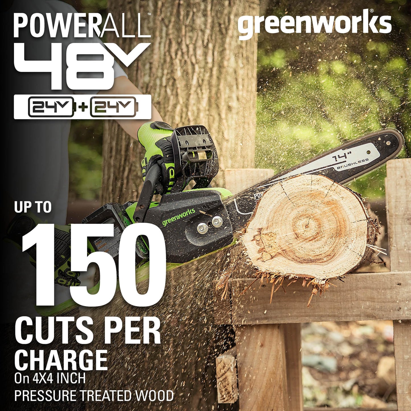 Greenworks 48V (24V x 2 ) 16" Brushless Cordless Chainsaw (Great For Tree Felling, Limbing, Pruning, and Firewood / 200+ Compatible Tools), (2) 4.0Ah Batteries and Dual Port Rapid Charger Included