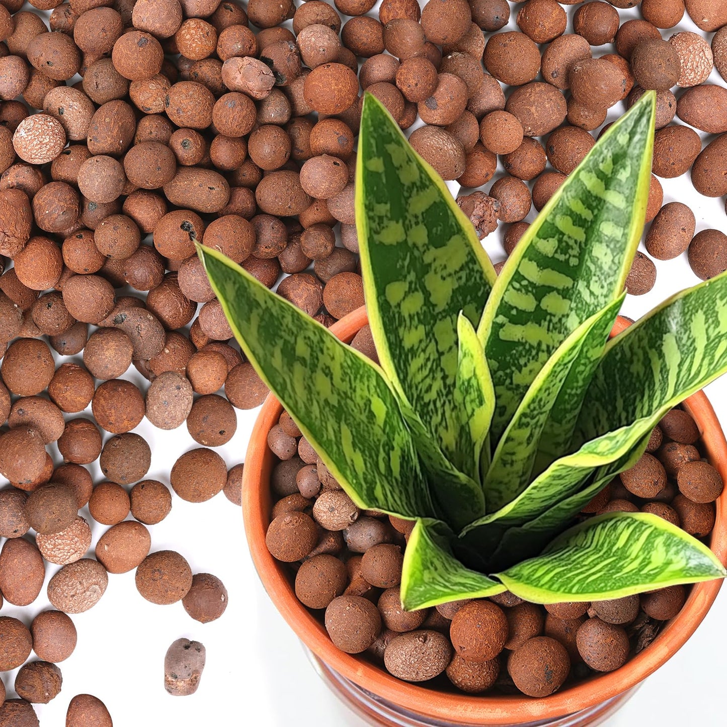 T4U Leca Clay Pebbles for Plants, 4.6qt 10-20 mm Clay Balls for Indoor Plants, Natural Clay Pebbles for Orchid Potting Mix, Hydroponic, Leca Pots, Plant Drainage, Garden Soil