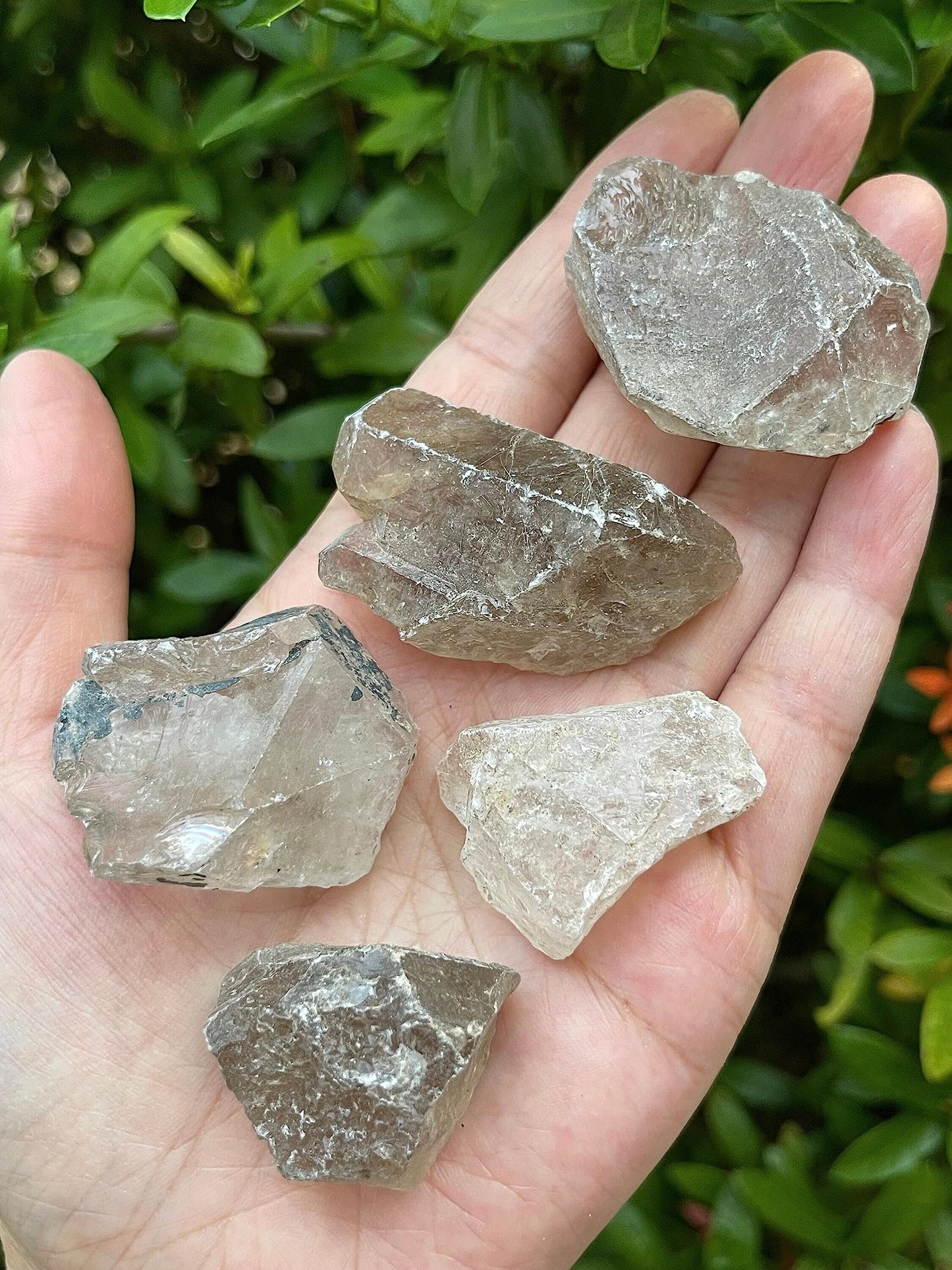 GAF TREASURES Wholesale Raw Smoky Quartz Crystals, Natural Smoky Quartz Stone, Natural Rough Smoky Quartz Crystals, Smoky Quartz Rough, Smoky Quartz Healing Crystals (Smoky Quartz, 0.5 Pound)