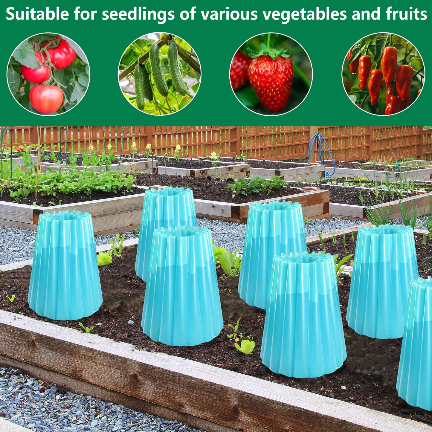 Adnee 10 Pack Water Filled Plant Protectors-19 x 17 Inch Reusable Wall of Water Plant Covers for Tomato Plants-Blue Early Season Insulating Plant Protective Cover for Outdoor Winter Freeze Protection