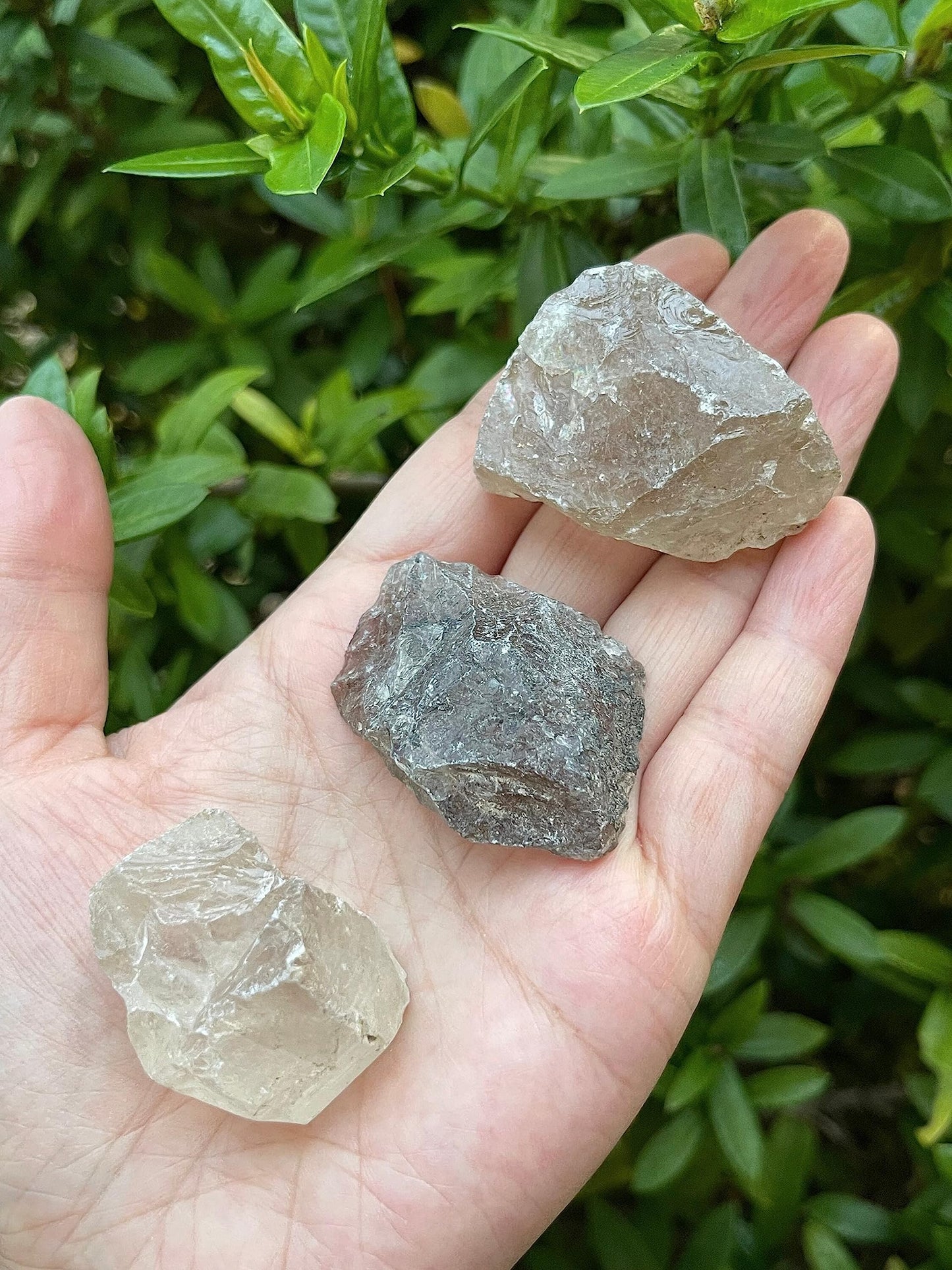GAF TREASURES Wholesale Raw Smoky Quartz Crystals, Natural Smoky Quartz Stone, Natural Rough Smoky Quartz Crystals, Smoky Quartz Rough, Smoky Quartz Healing Crystals (Smoky Quartz, 0.5 Pound)