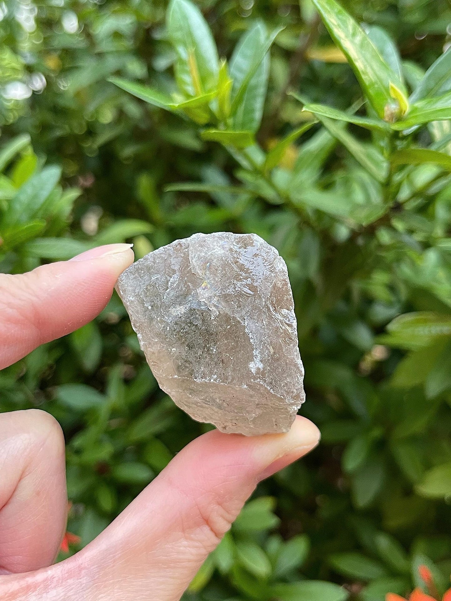 GAF TREASURES Wholesale Raw Smoky Quartz Crystals, Natural Smoky Quartz Stone, Natural Rough Smoky Quartz Crystals, Smoky Quartz Rough, Smoky Quartz Healing Crystals (Smoky Quartz, 0.5 Pound)