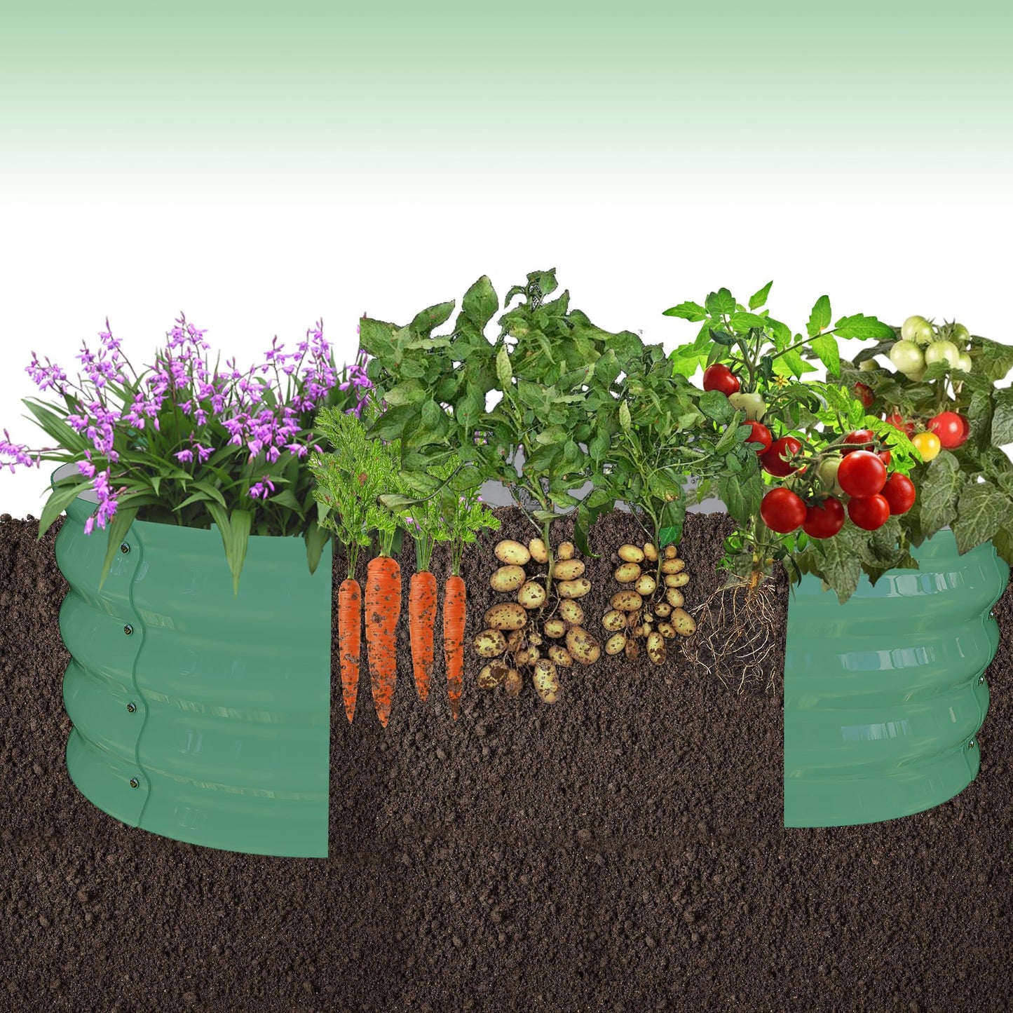 Garvee 2 Pack Galvanized Raised Garden Bed, Outdoor Planter Box with Open Base for Herbs, Veggies & Flowers. Rust-Resistant Raised Garden Beds, Ground-Connected Design for Deep Root Growth