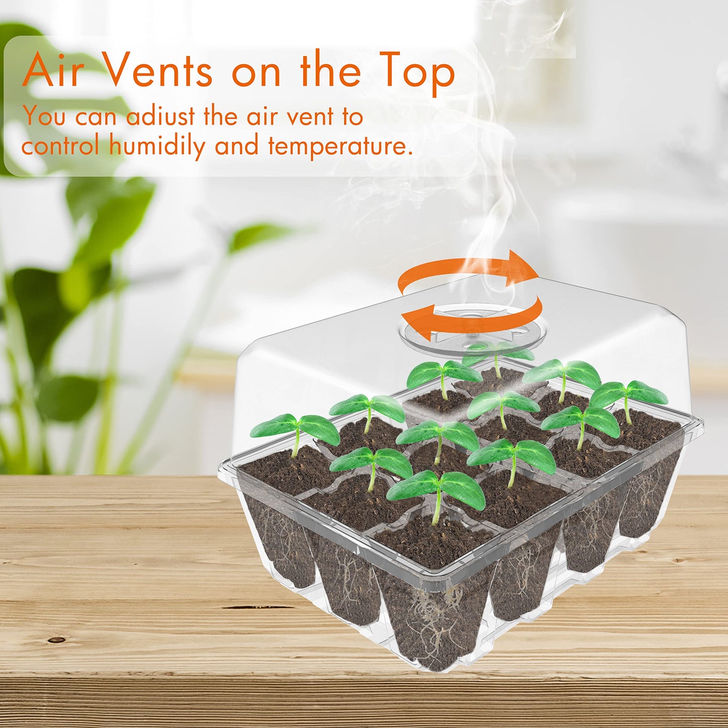 Gardzen 10 Pack Seed Starting Tray, Plant Germination Trays, Seed Starter Kit with Adjustable Humidity Vented Dome and Clear Base, Plant Growing Kit 6.6" x 4.5", Total 120-Cell, Clear
