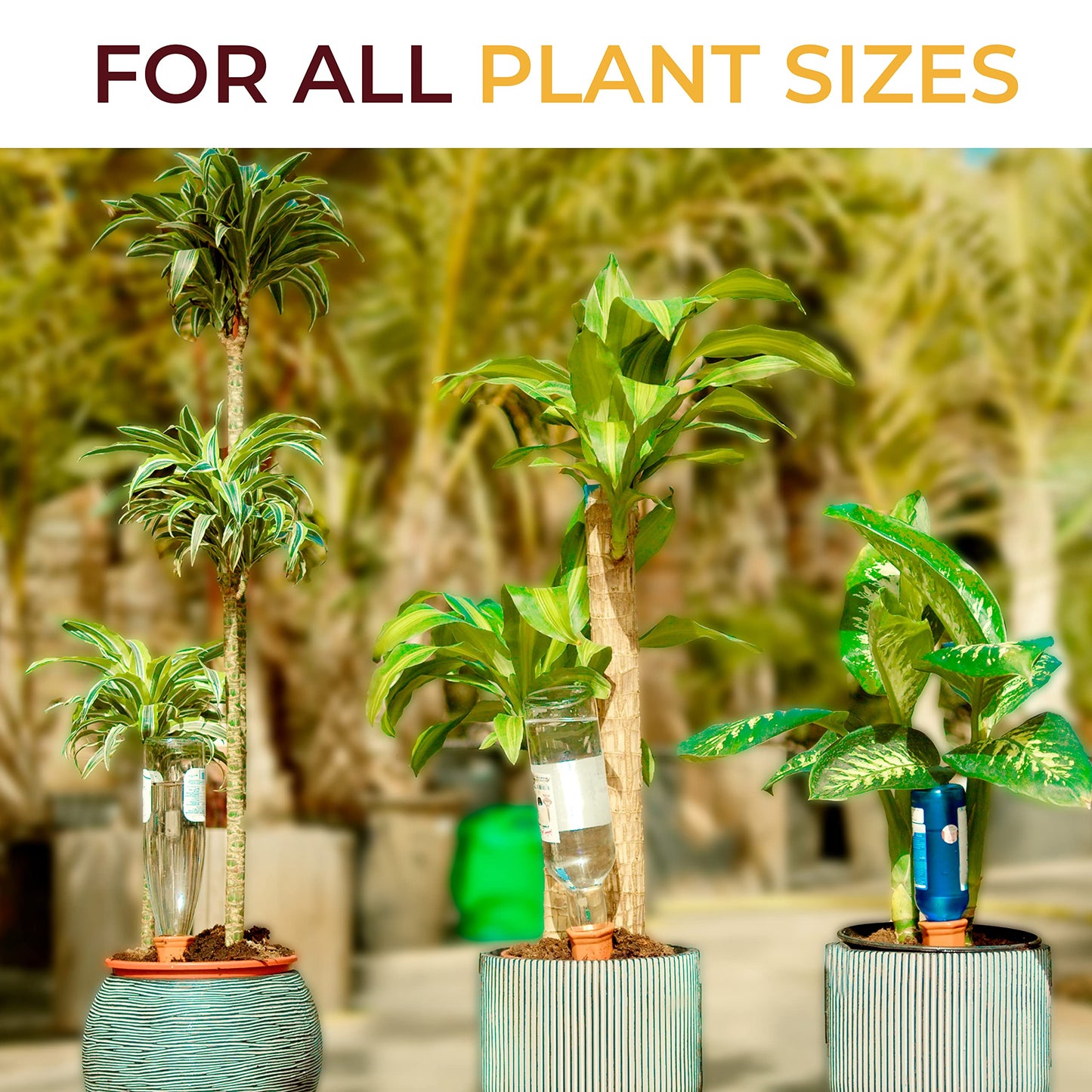 Reifier 6-Pack Natural Self Watering Spikes - Terracotta - Automatic Plant Waterer for Indoor & Outdoor