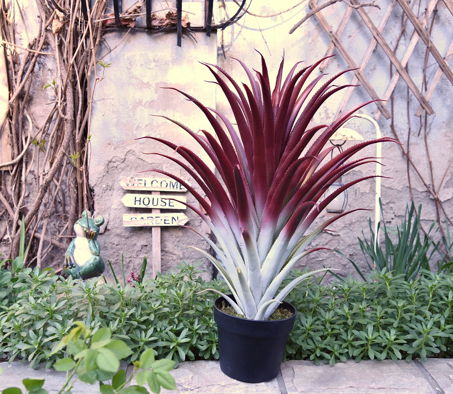 SUNPRAIRIE Hyper Realistic Big Red Artificial Aloe Vera Plant 26 Inches Tall. Large Faux Agave in Matte Black Pot.