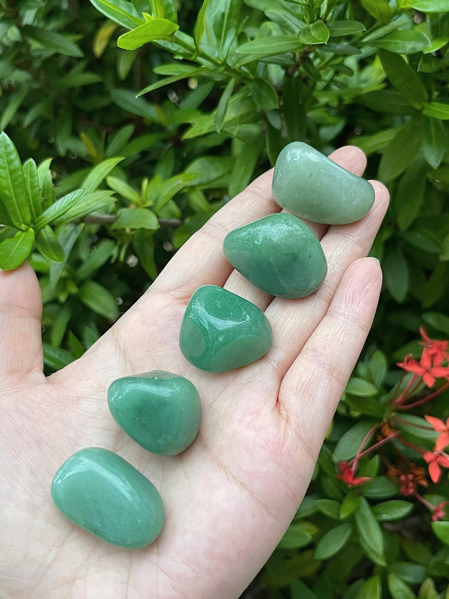 GAF TREASURES 5 Pcs Green Aventurine Tumbled Stones, Polished Natural Green Aventurine Gemstone, Green Aventurine Healing Crystals (Green Aventurine)