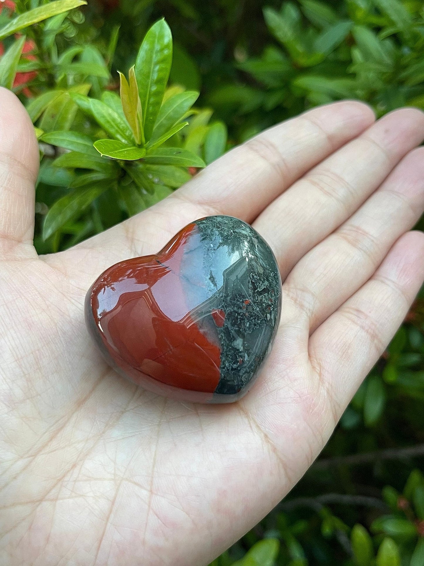 GAF TREASURES Bloodstone Gemstone Hearts, Polished Bloodstone Puffy Hearts, Bloodstone Crystal Palm Stone, Bloodstone Healing Crystal Hearts (1 Heart)