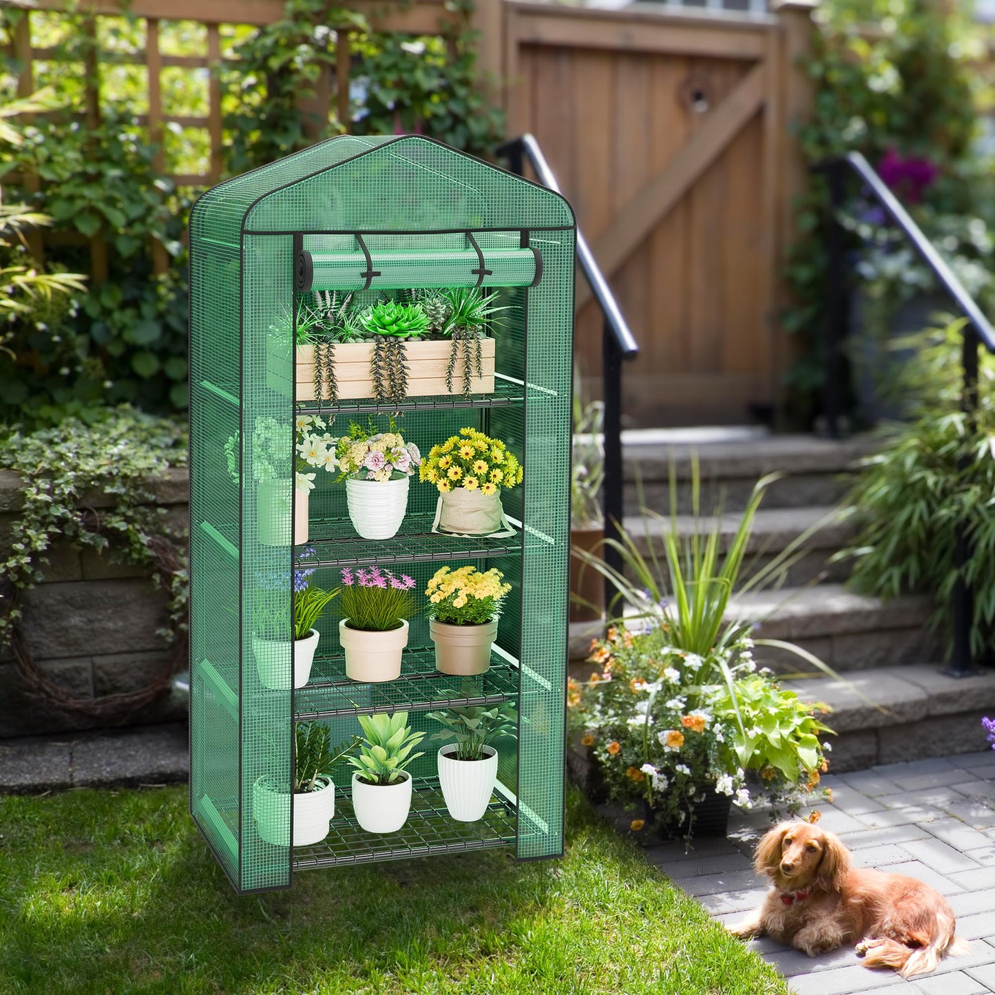 JupiterForce 4 Tier Mini Greenhouse Indoor Outdoor Portable Small Green House with Durable PE Cover&Roll-Up Zipper Door, Waterproof Greenhouses for Plant Seed & Seedling, 2.3x1.5x5.3 FT