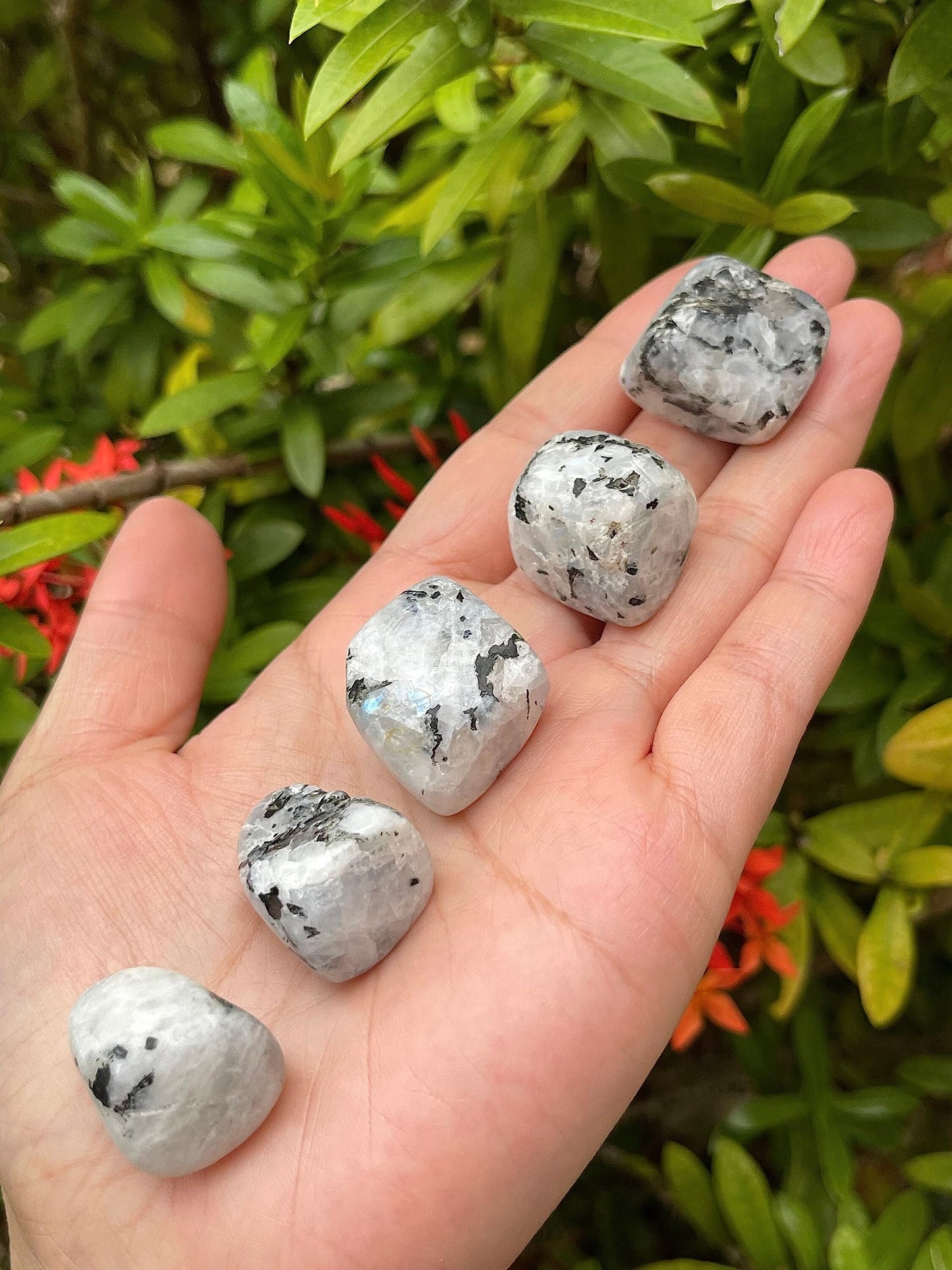 GAF TREASURES 5 Pcs Rainbow Moonstone Tumbled Stones, Polished Rainbow Moonstone Gemstone, Rainbow Moonstone Healing Crystals (Rainbow Moonstone)