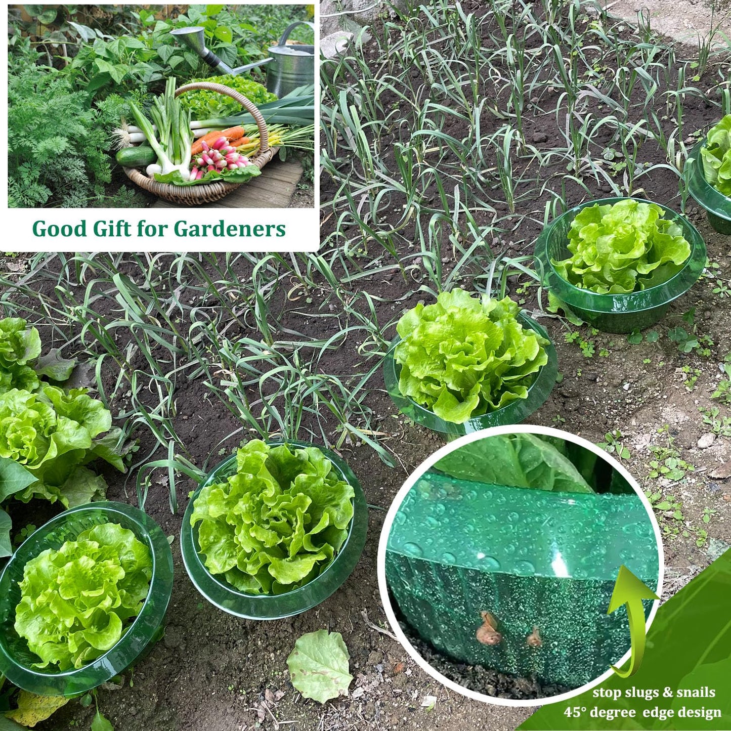 Fshow Garden Cloches，5 Pack Plastic Slug & Snail Plant Protection Collars, Snail Defense Without Chemistry, Planting Rings Protects Plants to Get Better.