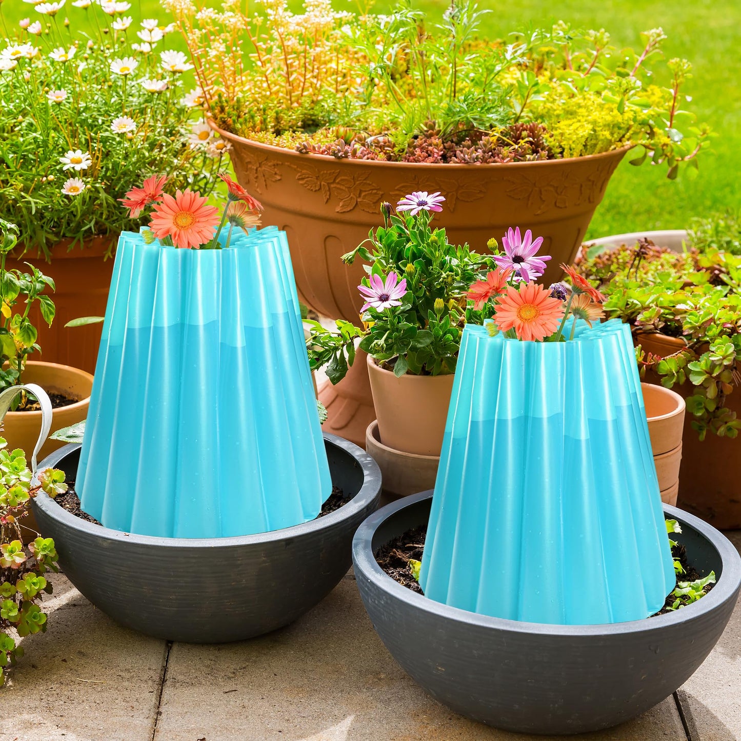 Adnee 10 Pack Water Filled Plant Protectors-19 x 17 Inch Reusable Wall of Water Plant Covers for Tomato Plants-Blue Early Season Insulating Plant Protective Cover for Outdoor Winter Freeze Protection