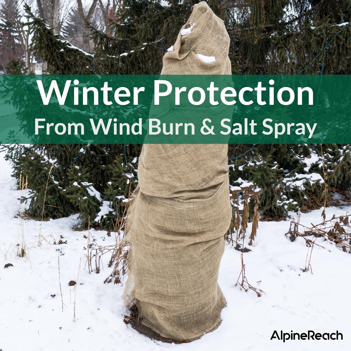 AlpineReach Burlap Fabric Roll 1.3ft x 30ft - Multipurpose Natural Jute for Tree & Plant Frost Protection, Wedding Runner Decorations, Home Center Pieces, Rustic Fiber Party Décor, Gardening