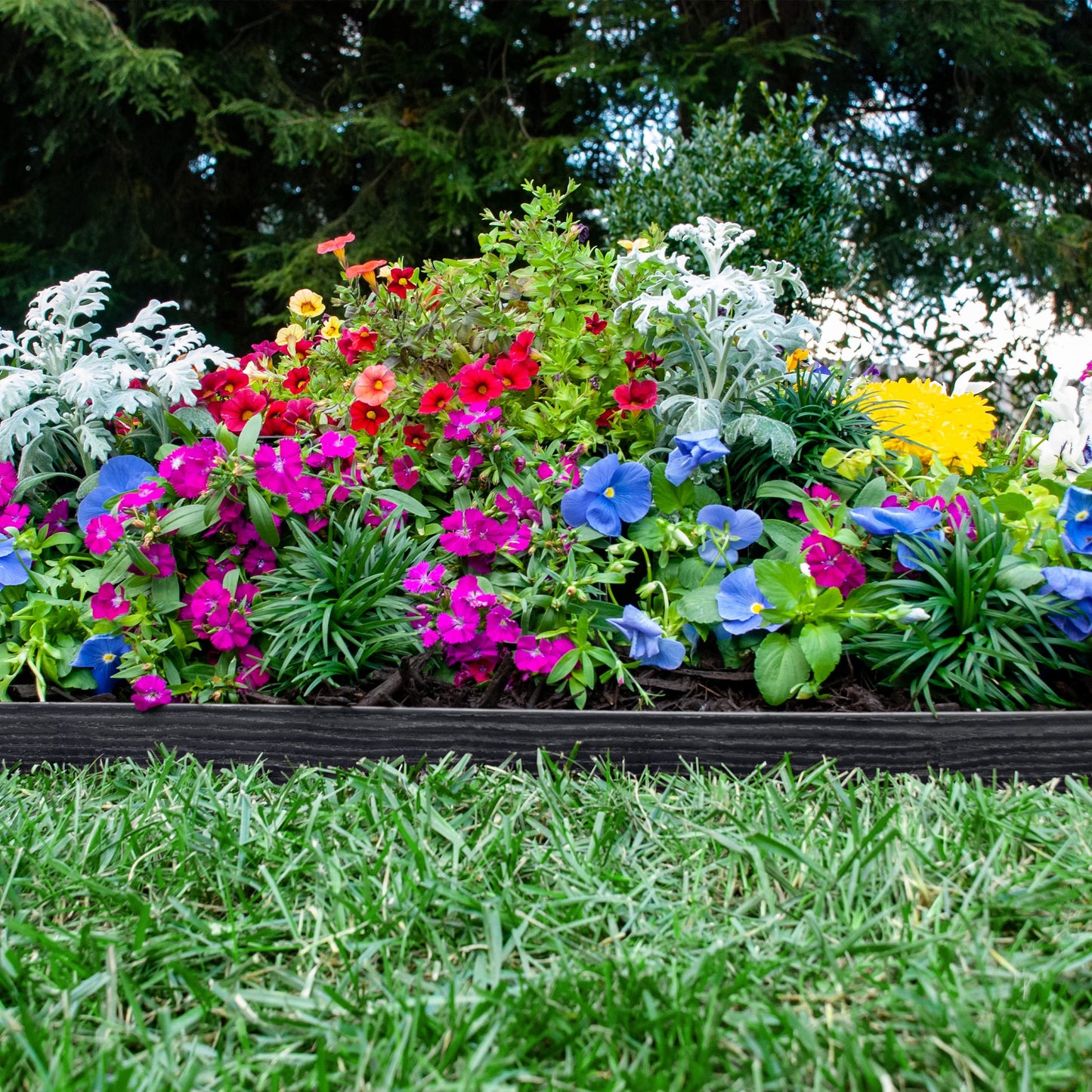EasyFlex 2.5" Tall Wall No-Dig Landscape Edging Kit - 100 Foot, Black