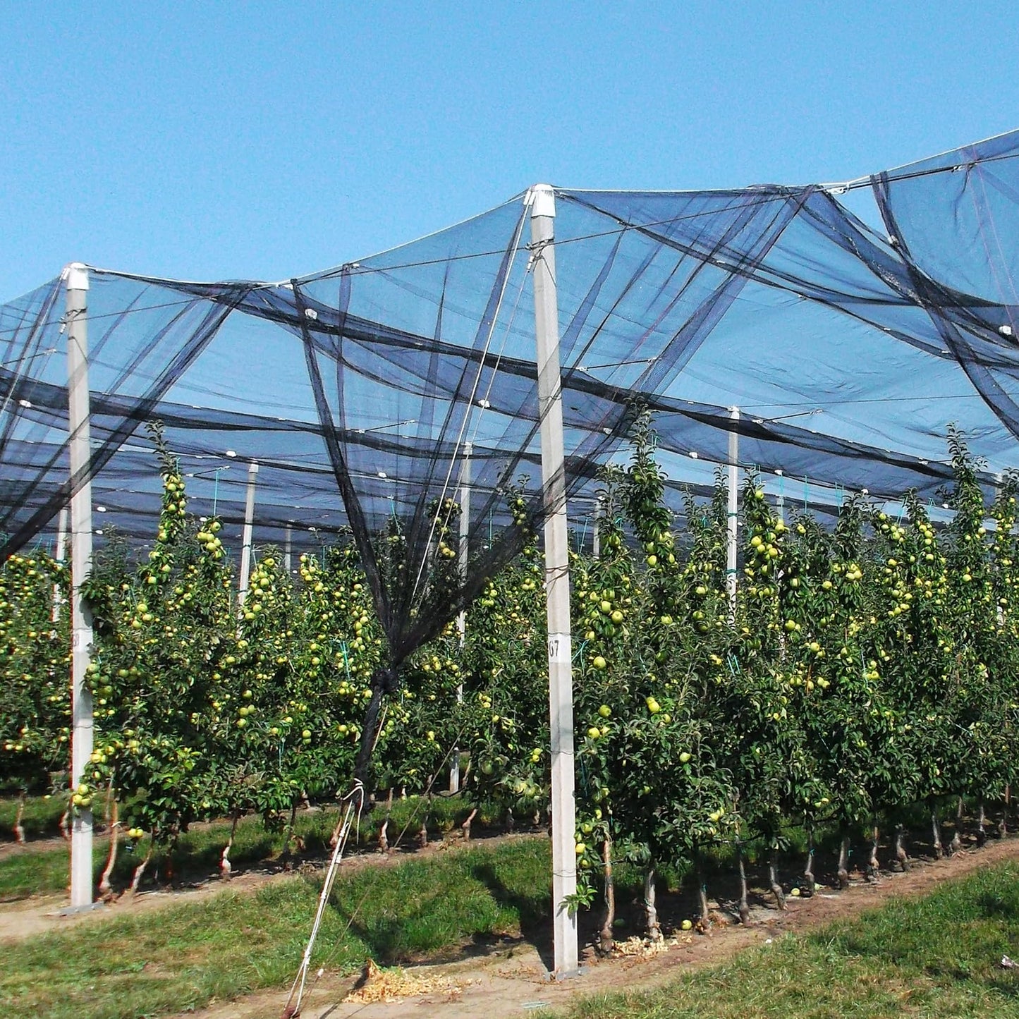 39 x 10 Ft Mosquito Netting, Garden Bird Netting for Patio, Insect Mosquito Net for Plant Protection Breathable Mesh Garden Plant Covers Protect Vegetables Fruits from Birds Bugs