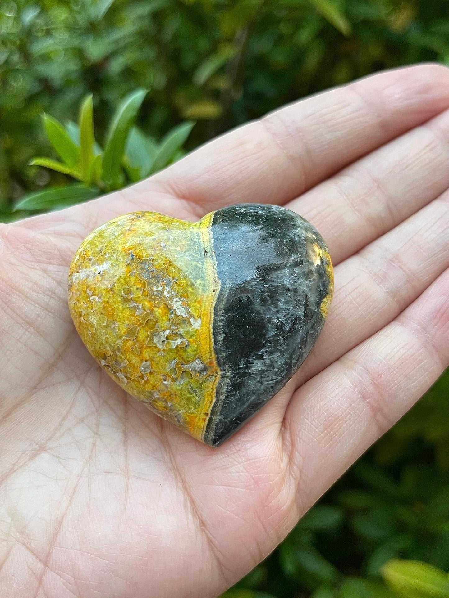 GAF TREASURES Bumble Bee Jasper Gemstone Hearts, Polished Bumble Bee Jasper Puffy Hearts, Bumble Bee Jasper Crystal Palm Stone, Bumble Bee Jasper Healing Crystal Hearts (1 Heart)