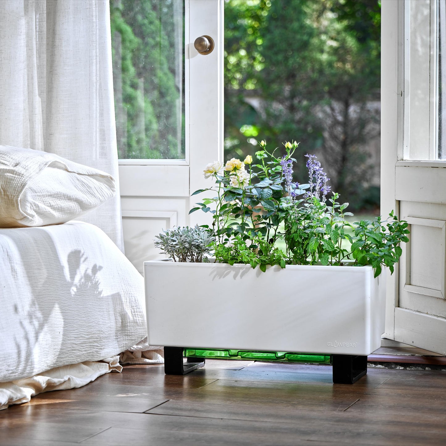 Glowpear Self-Watering Mini Bench Planter - 23.6" in Pot, Free Standing, UV Stable, Scalable, Indoor | Outdoor Pot with Water Gauge, for Home Kitchen Windowsill Gardening
