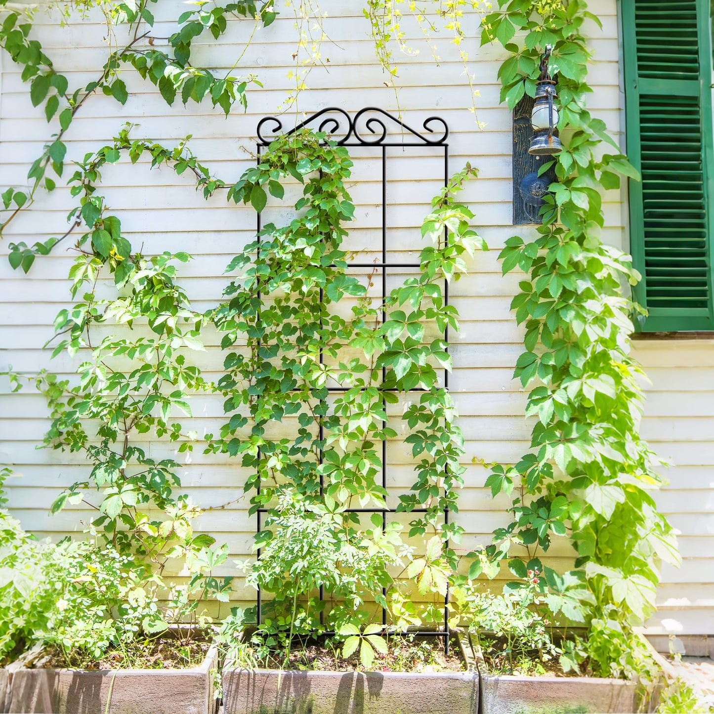 ARIFARO 57.5'' Metal Garden Trellis for Climbing Plants,(Pack of 4) Indoor/Outdoor Sturdy Plant Trellis for Potted Plants,House Plants, Climbing Vines, Black