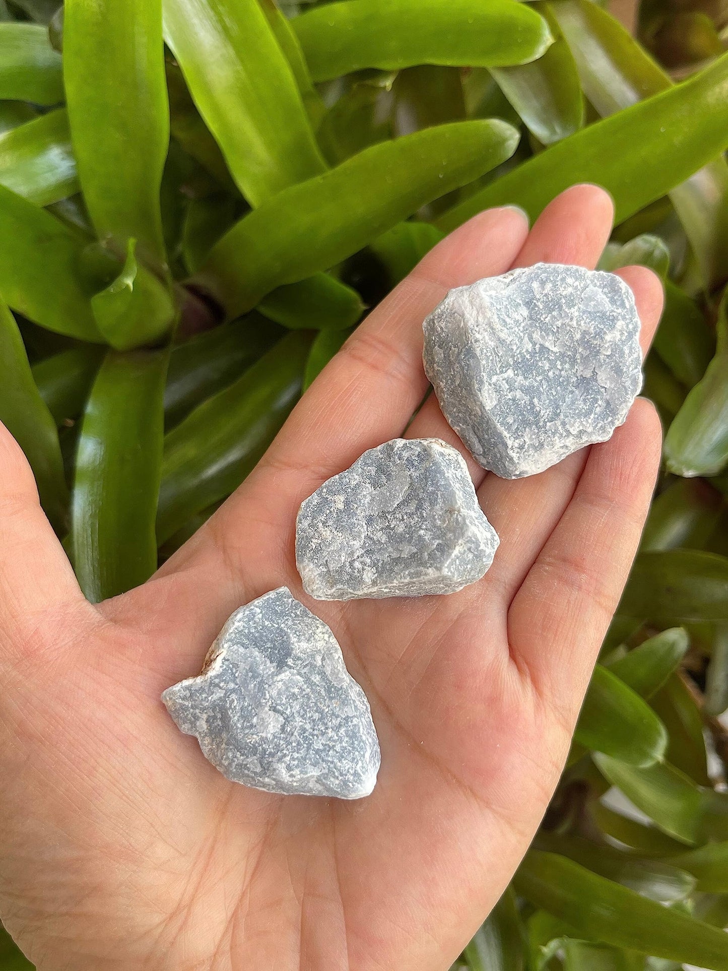 GAF TREASURES Wholesale Raw Angelite Crystals, Natural Angelite Stone, Natural Rough Angelite Crystals, Angelite Rough, Angelite Healing Crystals (Angelite, 0.5 Pound)