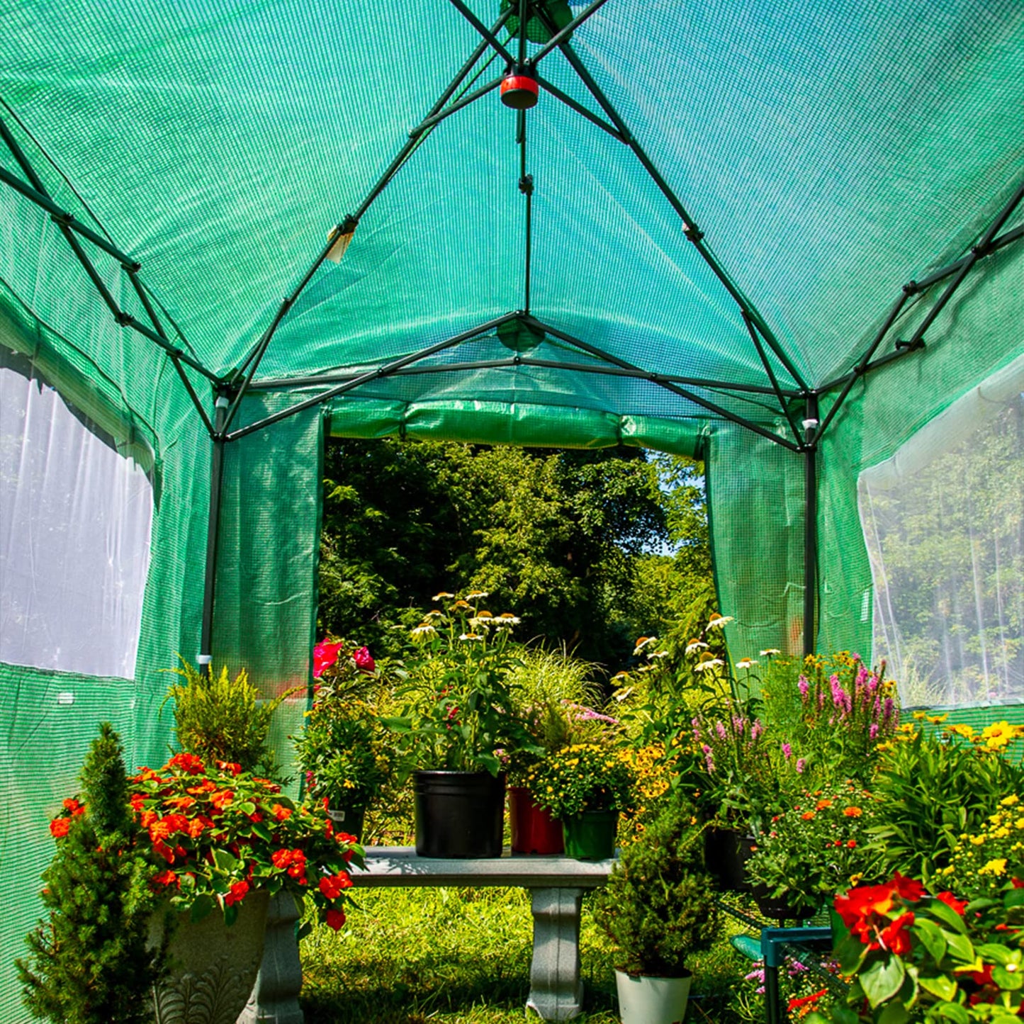 EAGLE PEAK 8x6 Portable Walk in Greenhouse, Pop Up Indoor Outdoor Greenhouse, Green House Kit with Zippered Roll-Up Doors and Windows, PE Cover, Clear/Green