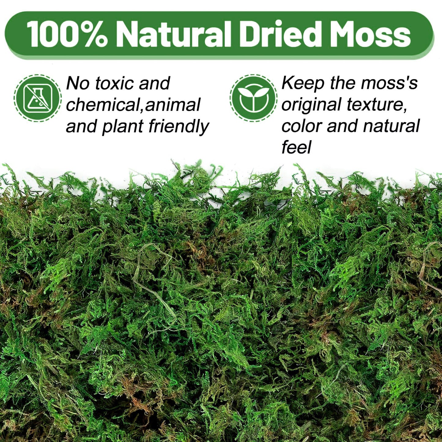 10oz Natural Green Moss for Plants Indoor - Dried Forest Real Moss for Crafts, Artificial Fairy Gardens, Mosswall, Glass Terrariums, Floral Design, Home Decor