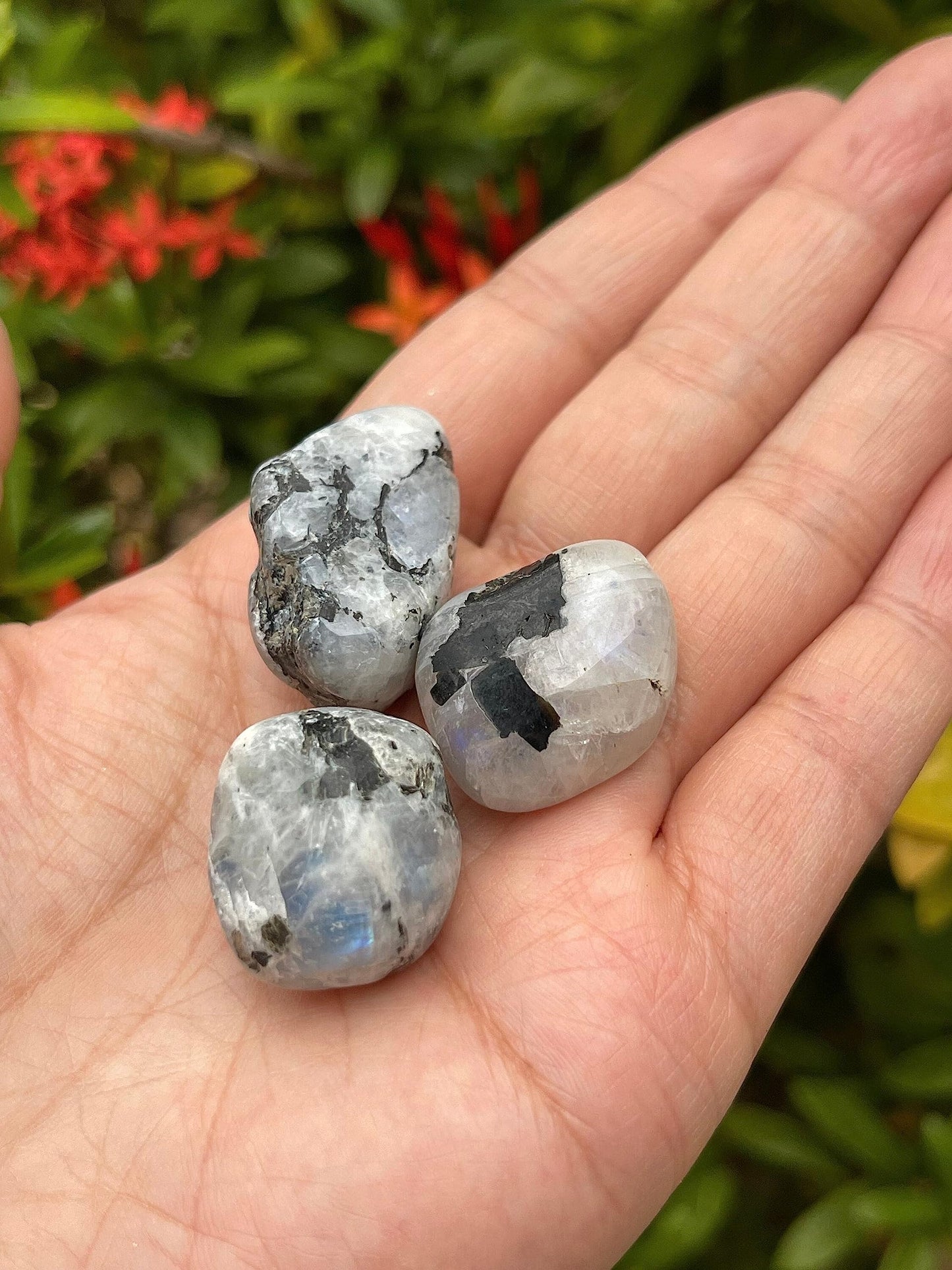 GAF TREASURES 5 Pcs Rainbow Moonstone Tumbled Stones, Polished Rainbow Moonstone Gemstone, Rainbow Moonstone Healing Crystals (Rainbow Moonstone)