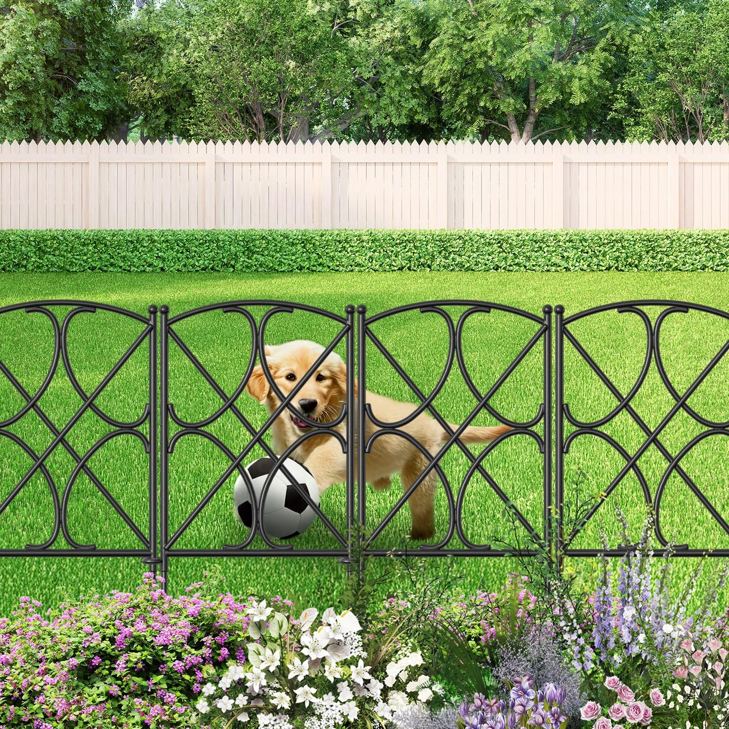 AMAGABELI GARDEN & HOME 10 Panels 24in(H)×10ft(L) Decorative Garden Fences and Borders for Dogs Rustproof Metal No Dig Fence Panels Garden Edging Border for Animal Barrier Flower Beds Yard Patio