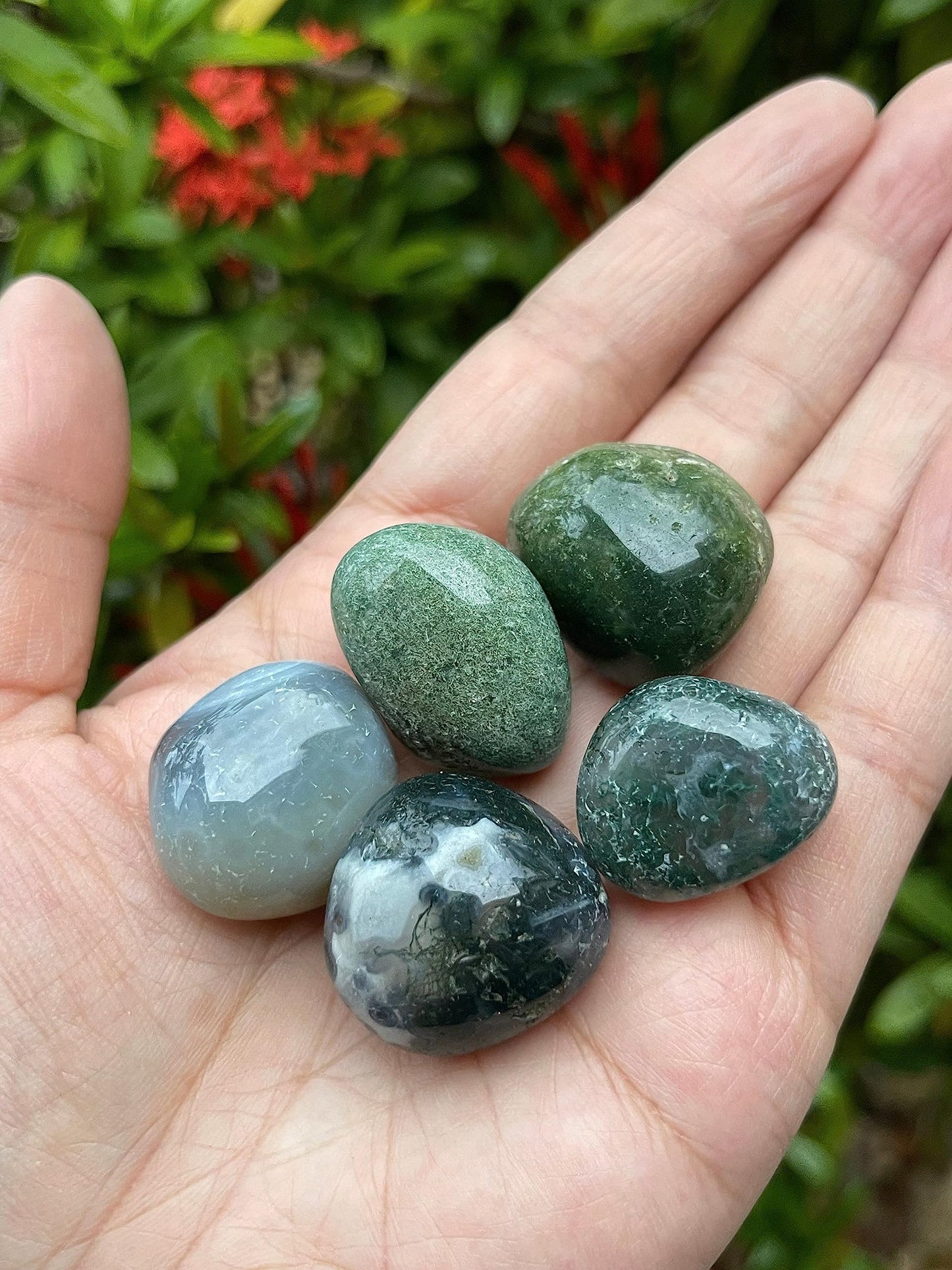 GAF TREASURES 5 Pcs Moss Agate Tumbled Stones, Polished Natural Moss Agate Gemstone, Moss Agate Healing Crystals (Moss Agate)
