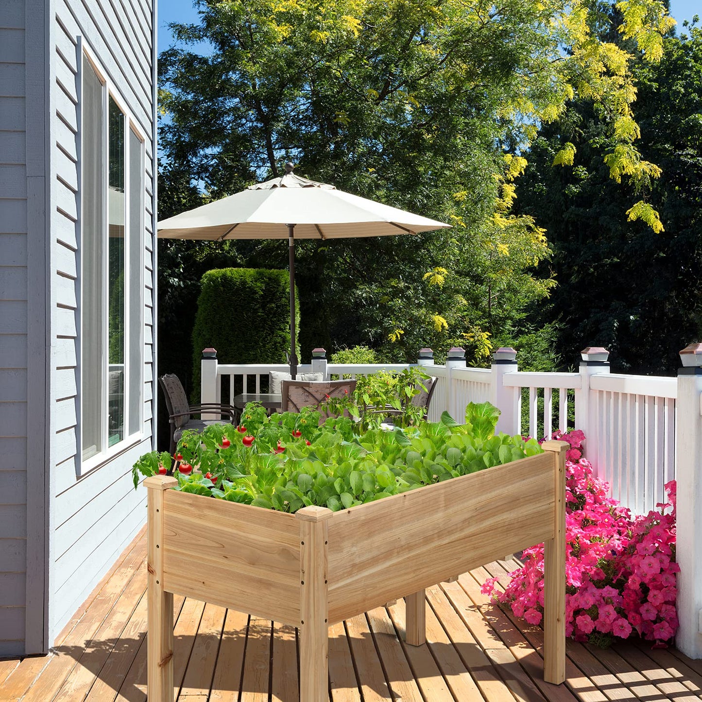 S AFSTAR Raised Garden Bed, Elevated Wooden Planter Box, 49.5”L x 23.5”W x 30”H, Outdoor Gardening Planting Bed for Vegetables, Flowers & Herbs Grow, Great for Backyard Patio Lawn (Natural)