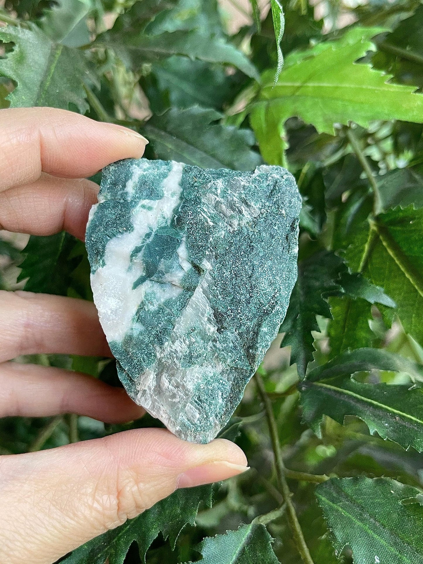 GAF TREASURES Wholesale Raw Bloodstone Crystals, Natural Bloodstone Stone, Natural Rough Bloodstone Crystals, Bloodstone Rough, Bloodstone Healing Crystals (Bloodstone, 0.5 Pound)