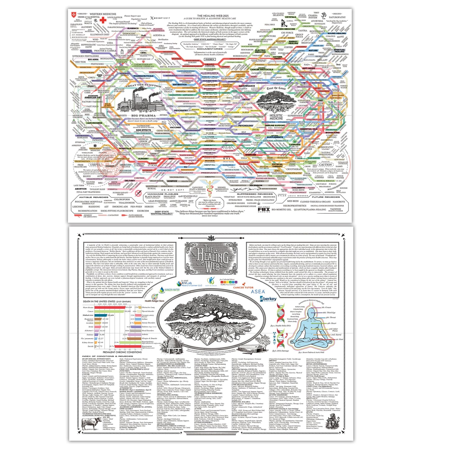 2Pcs - 2026 New Version Healing Web Poster, Eco-Friendly Fabric Canvas, Mental Health & Holistic Remedies Chart for Therapy Office Decor Unframed 12x18 Inch (30x45cm)