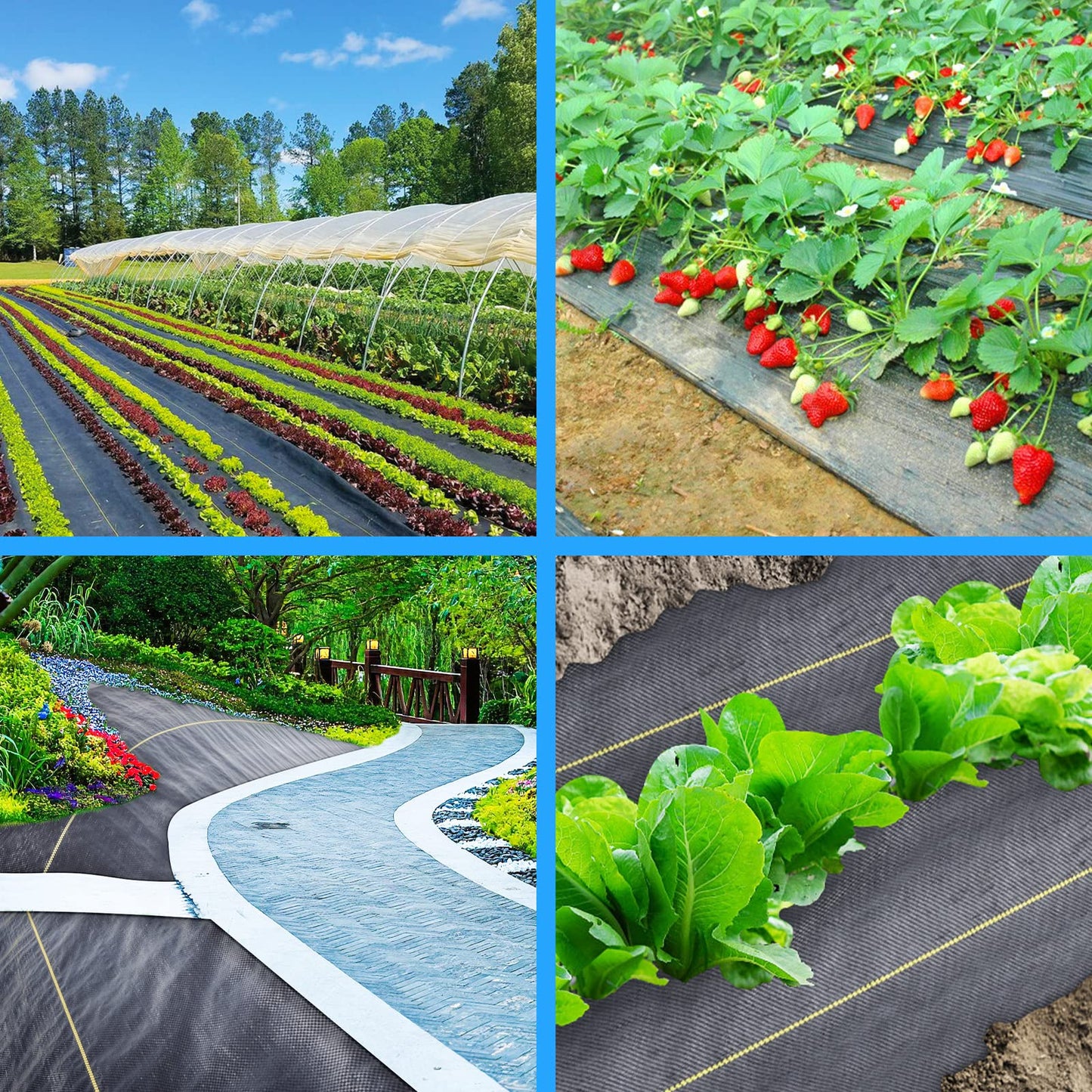 Sunocity 8ft x100ft Black Weed Barrier 3.5oz Landscape Premium Fabric-Heavy Duty Woven Ground Cloth with Superior Permeability Weed Control Convenient Design