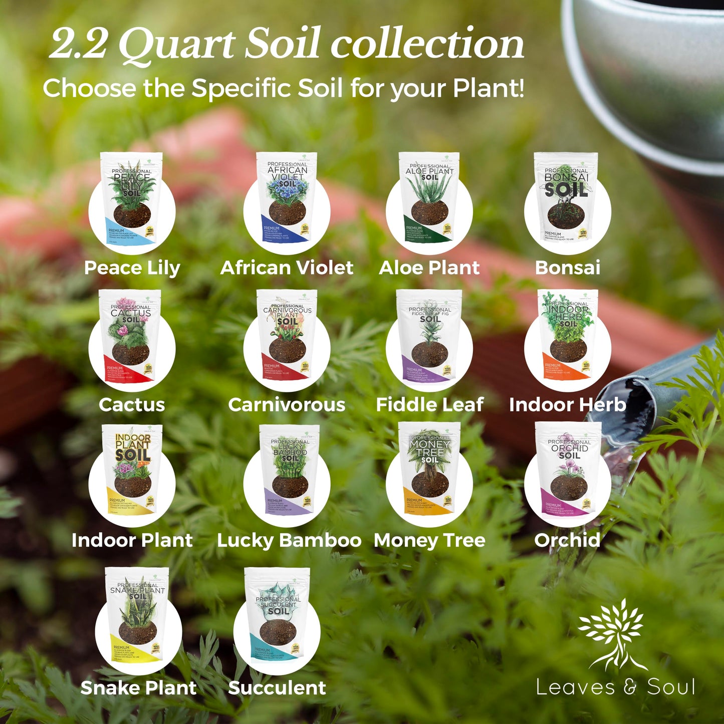 Professional Bonsai Soil Mix Ready to Use | Large 2.2 Quarts, Premium Potting Soil for Bonsai Trees, Fast Draining Blend Lava Limestone Pearock Calcined Clay Pinebark Indoor Outdoor | Made in USA