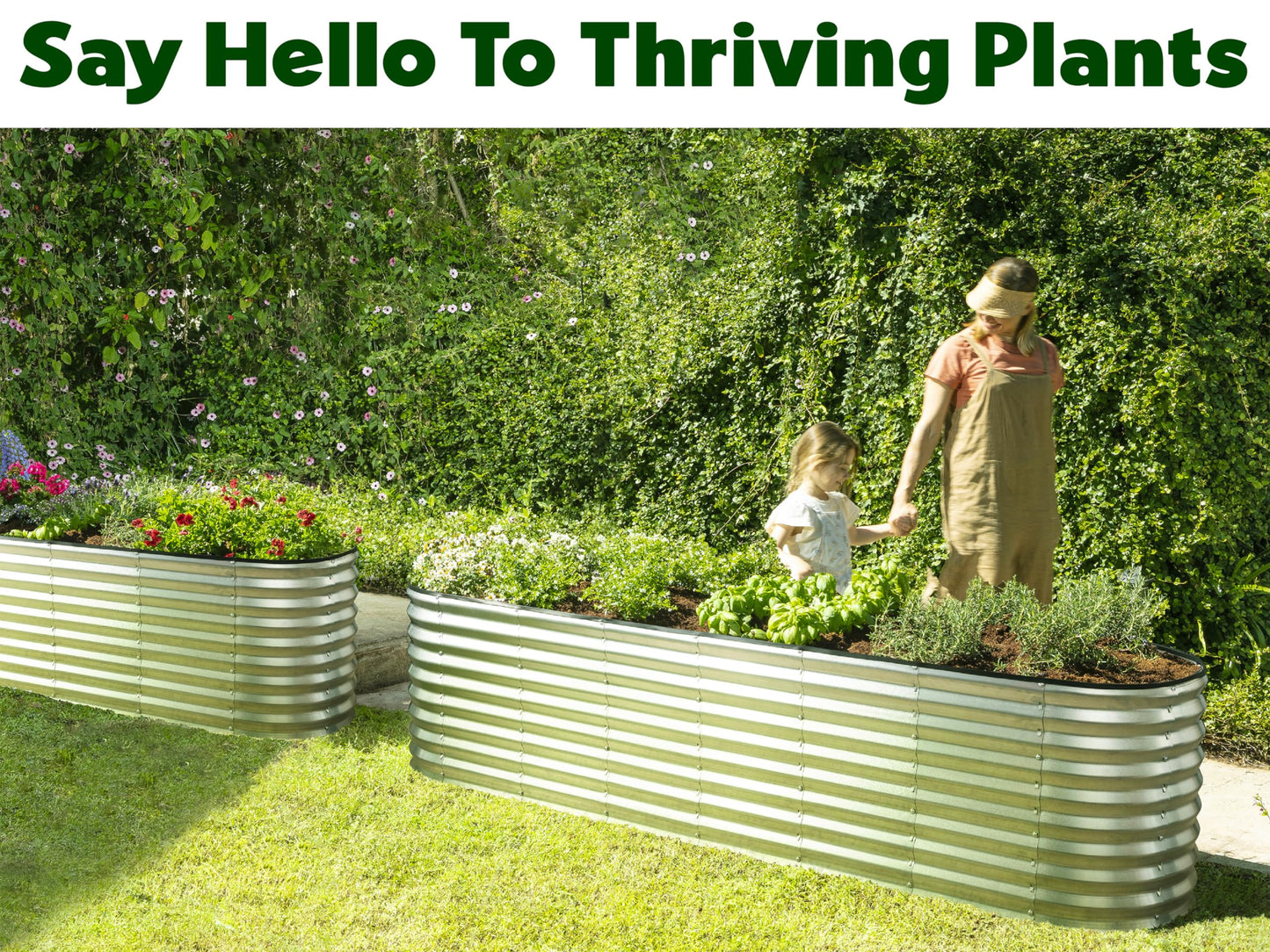 Plant & Plot Galvanized Raised Garden Beds Outdoor // 8×2×2 ft Planter Raised Beds for Gardening, Vegetables, Flowers (Silver) // Large Metal Garden Box // Patented Tool-Free Design