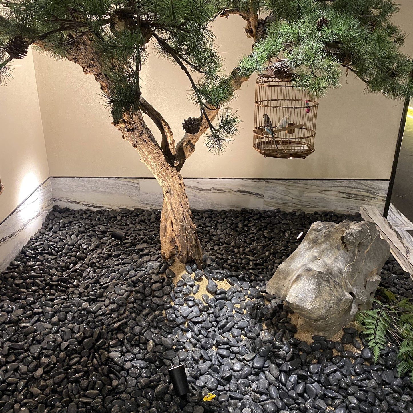FANTIAN 40 lbs Black River Rocks for Landscaping,1-2 Inch Decorative Black Stones Pebbles for Plants, Vase Fillers, Fish Tank and Garden Rocks