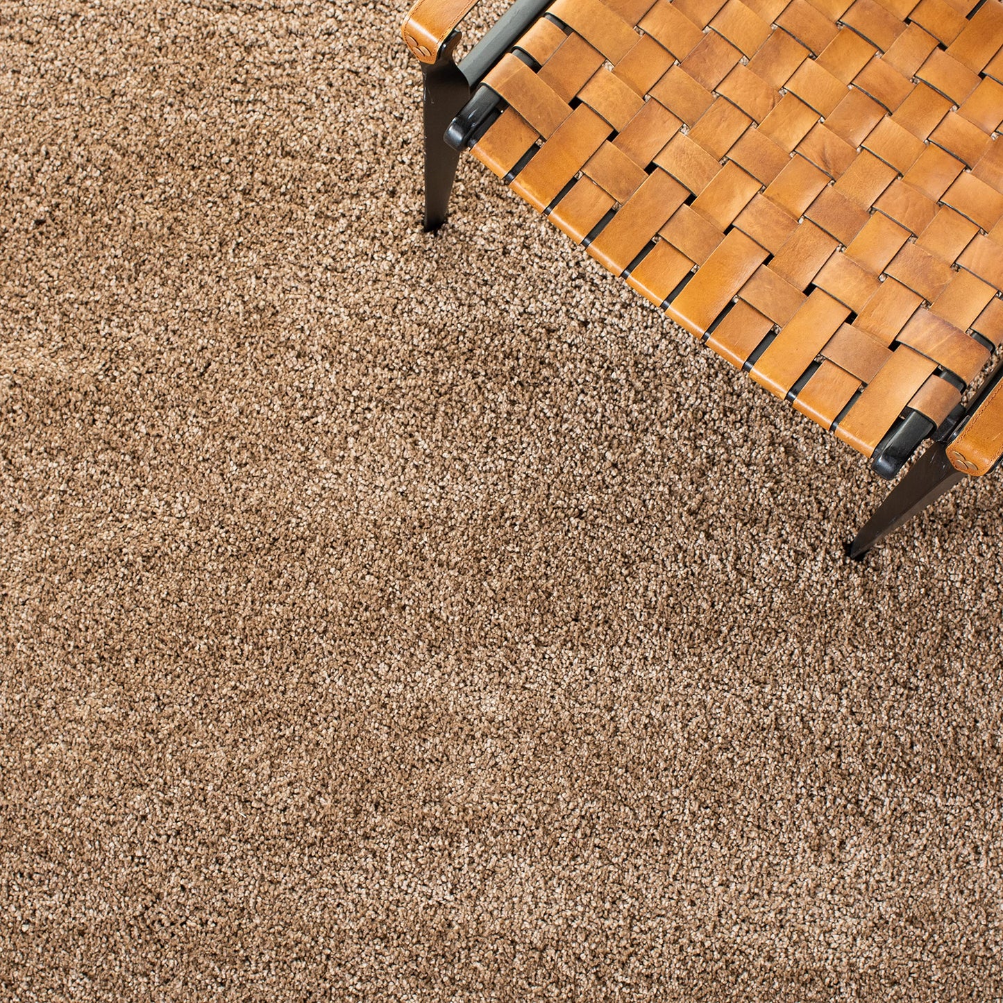 SAFAVIEH Milan Shag Collection Area Rug - 3' x 5', Dark Beige, Solid Design, Non-Shedding & Easy to Clean, Plush Thick Pile, Ideal for Living Room, Bedroom (SG180-1414)