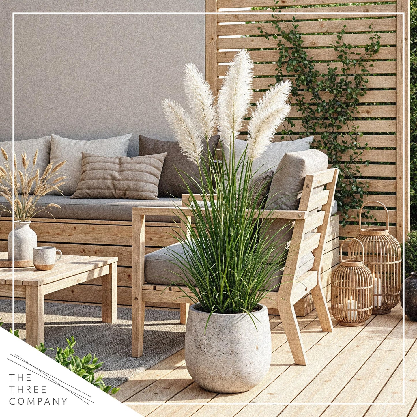Live Ornamental Pampas Grass (Cortaderia selloana) - White (4 Pack) - Perennial Accent Plant - 10" Tall by 5" Wide in 1.5 Qt Pot