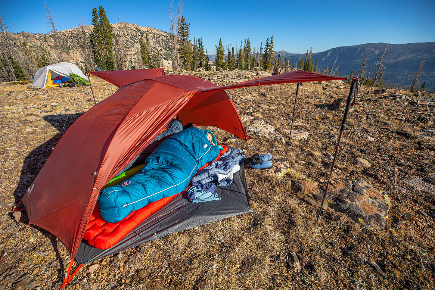 Big Agnes Sidewinder SL 20 Sleeping Bag (650 DownTek) Regular (Women's)