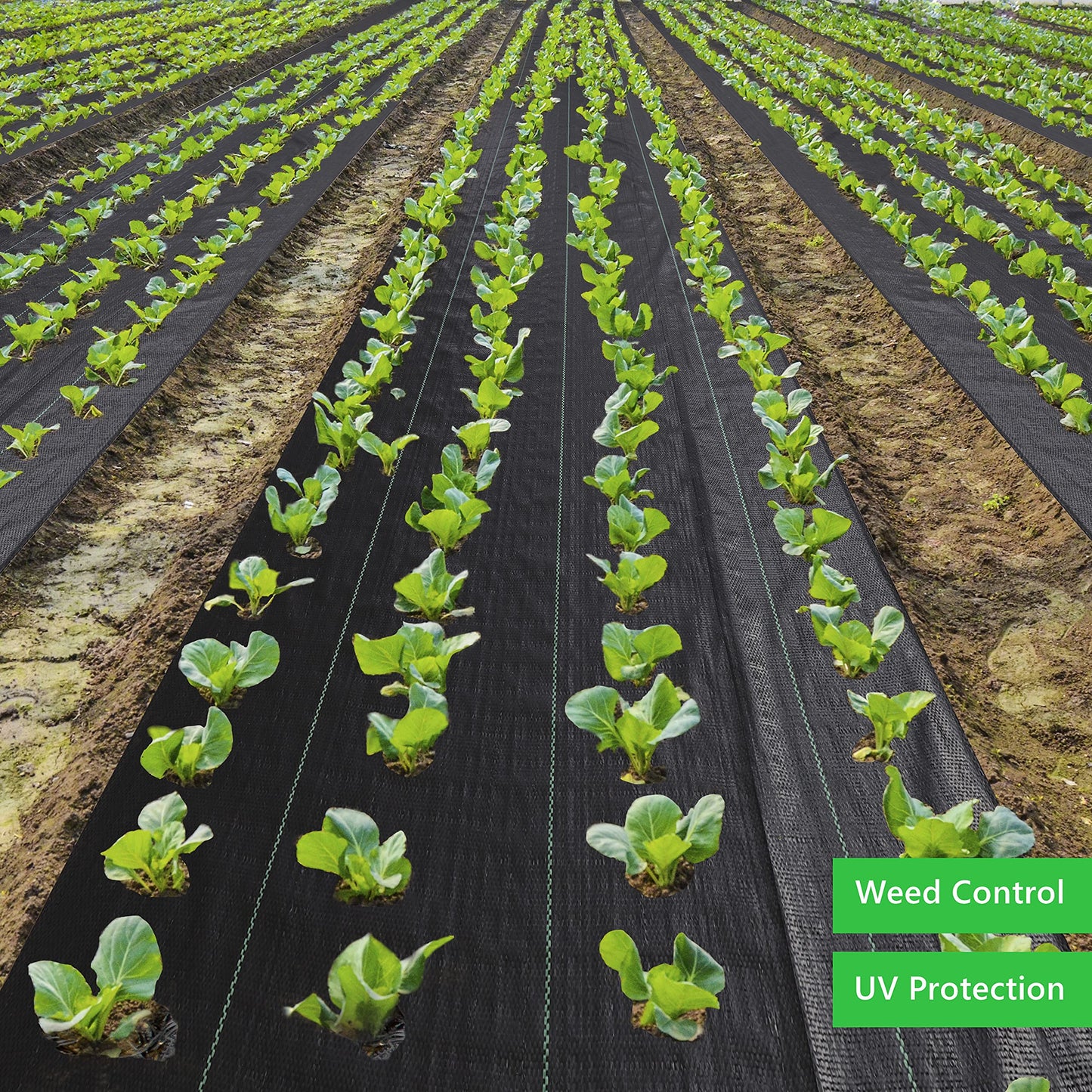 EXTRAEASY Weed Barrier Fabric 3.2oz Heavy Duty - 4ft x 300ft Landscape Fabric | Easy Install & Rugged Plastic Ground Cover Weed Barrier with UV Protection for Gardens, Landscaping Fabric