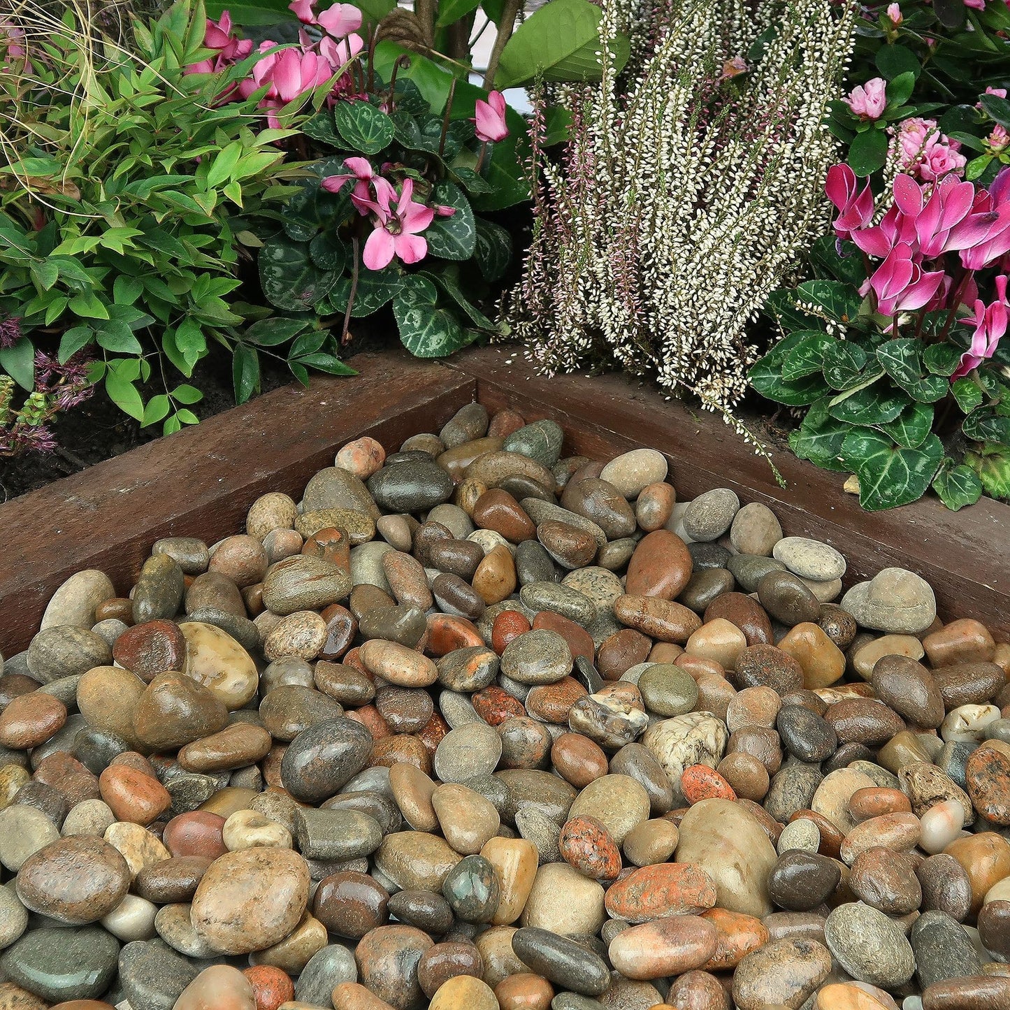 VINICS 20lbs Large River Rocks for Landscaping, 3-4 Inch Natural Unpolished Bulk Pebbles, Hand-Picked Premium Stones for Garden Design Fish Tank, Flower Pots, Pathways and Backyard, Mixed Color